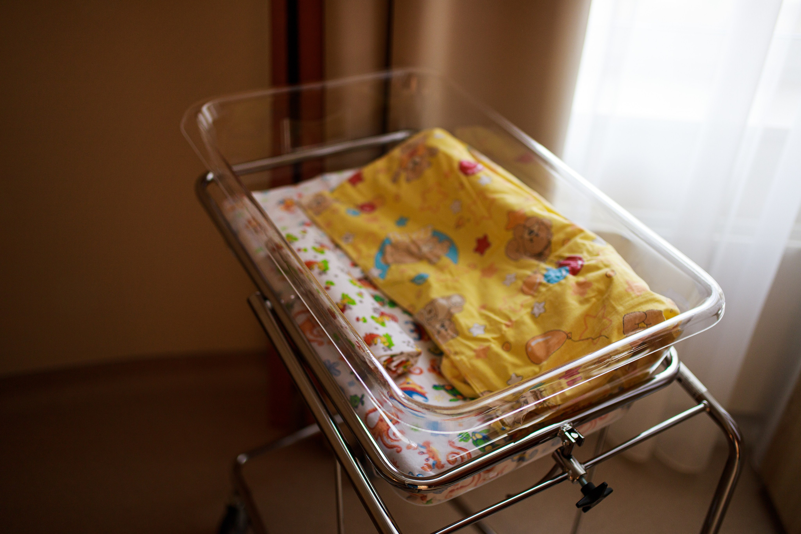 Business. Portrait and family photographer in Fort Collins Dania Gaisina