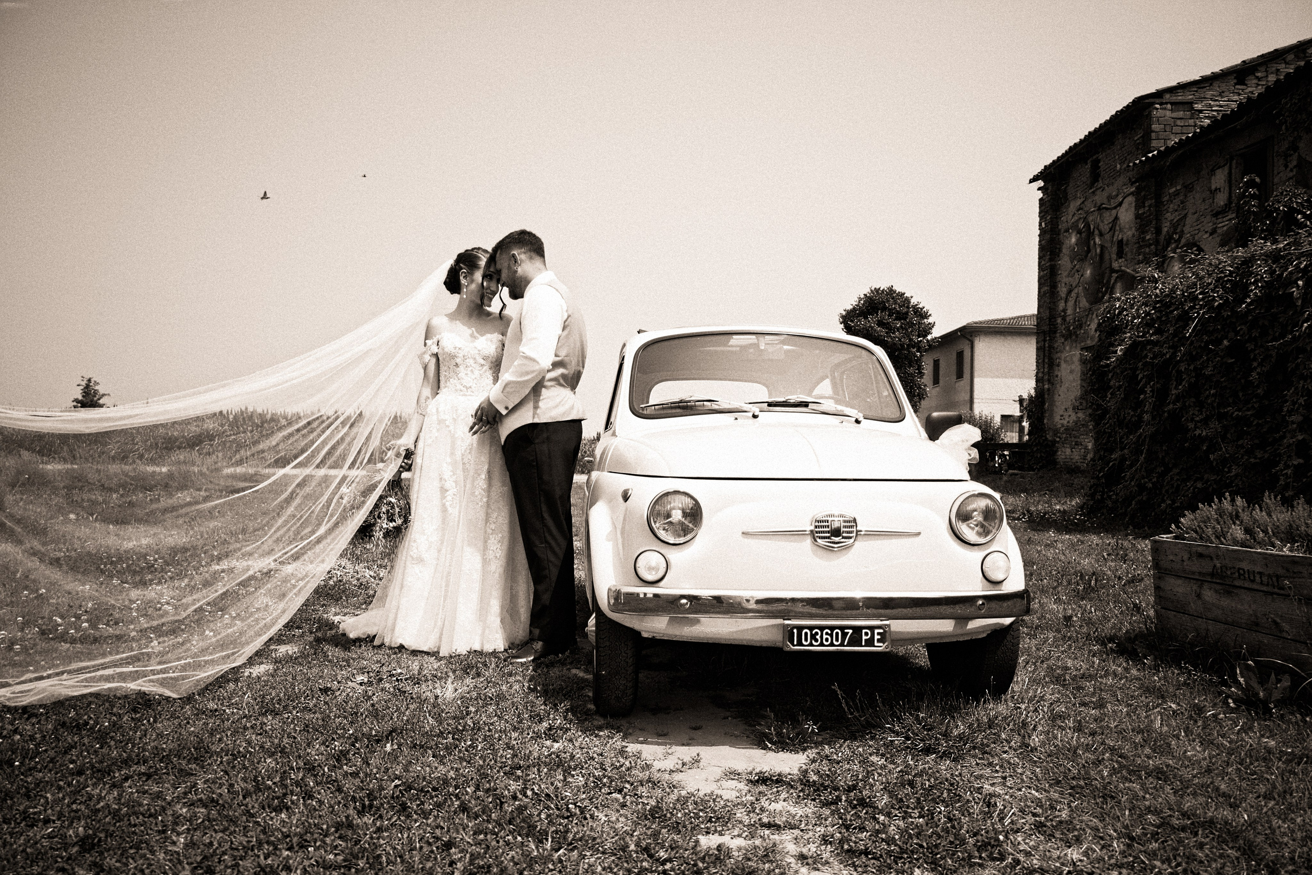 Wedding. Ole Photographer