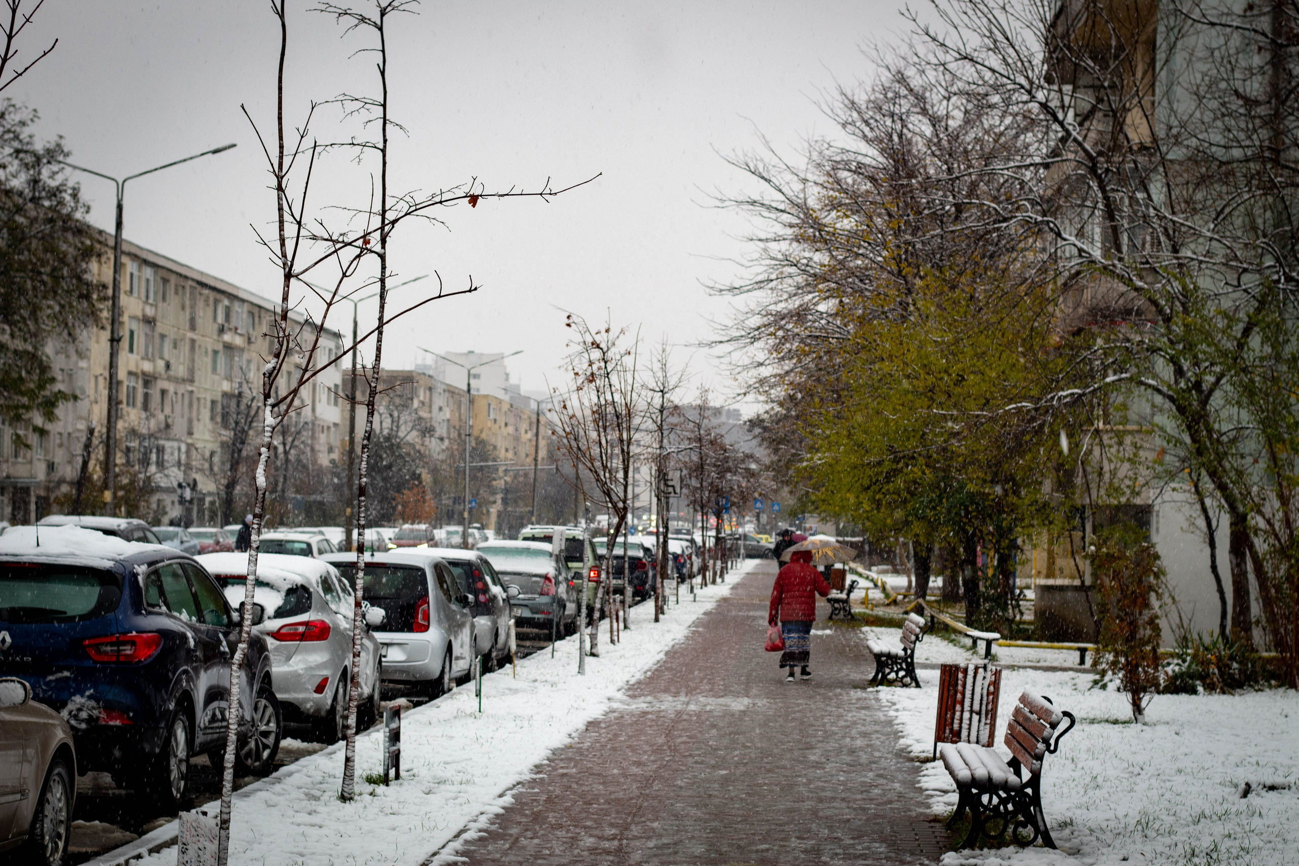 Snow-covered urban street with parked cars, trees, and pedestrians walking.