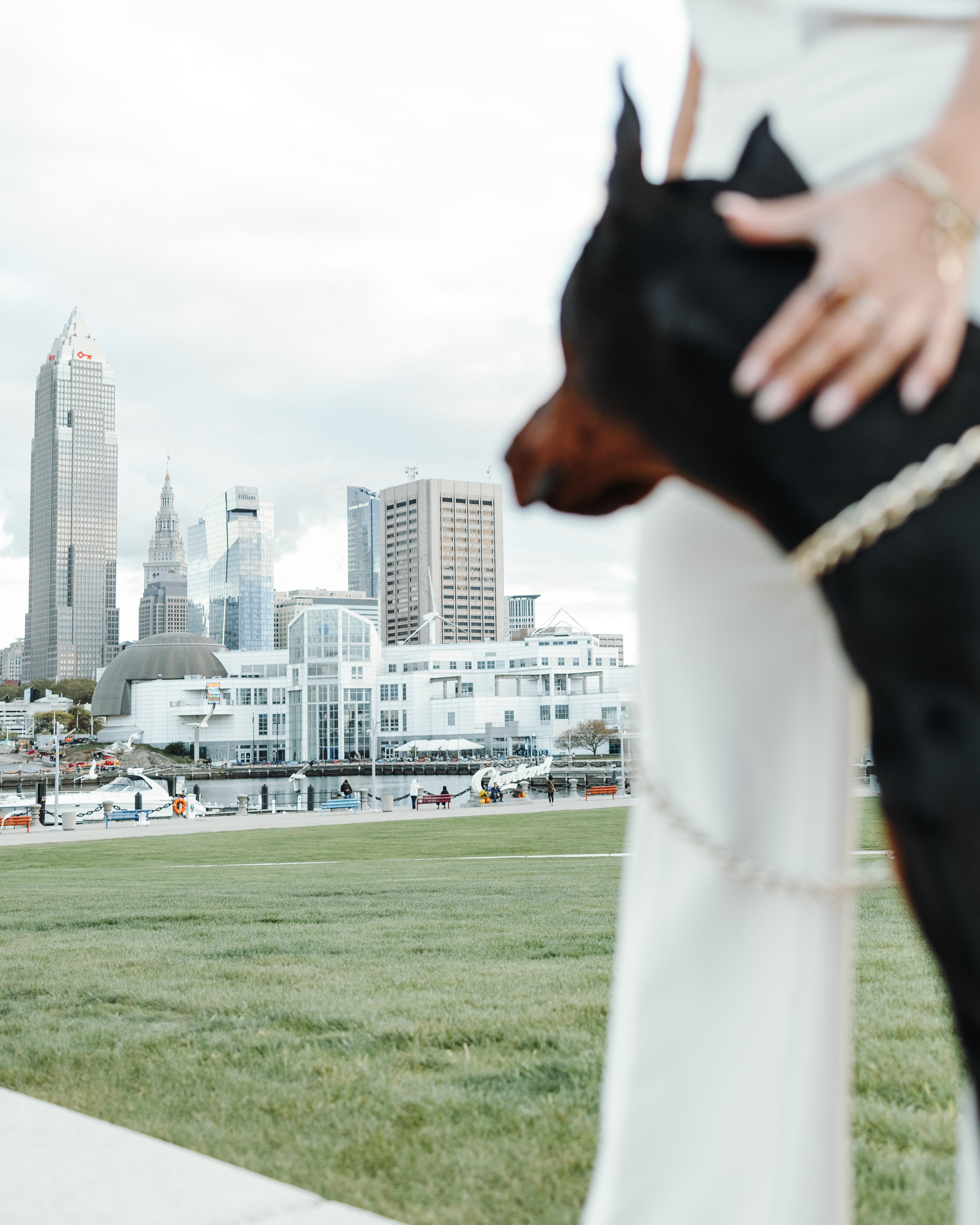 Enzo & Victoriya. Pet Photographer Viktoriya Aleshenko