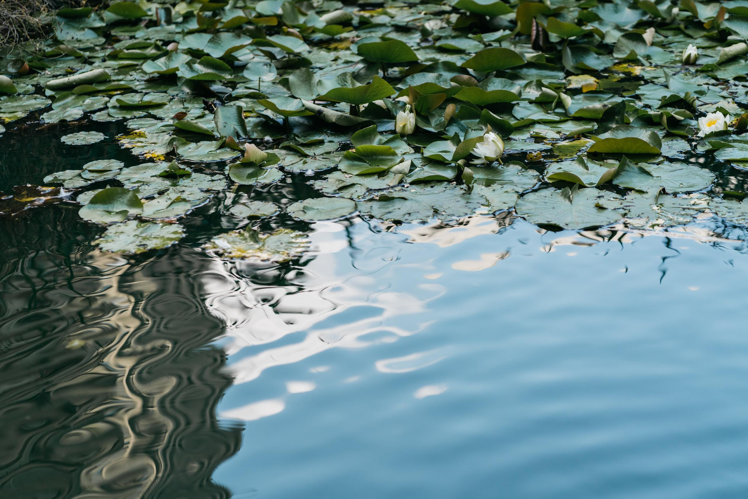 Kind Words. London Wedding Photographer|Natasha Ferreira