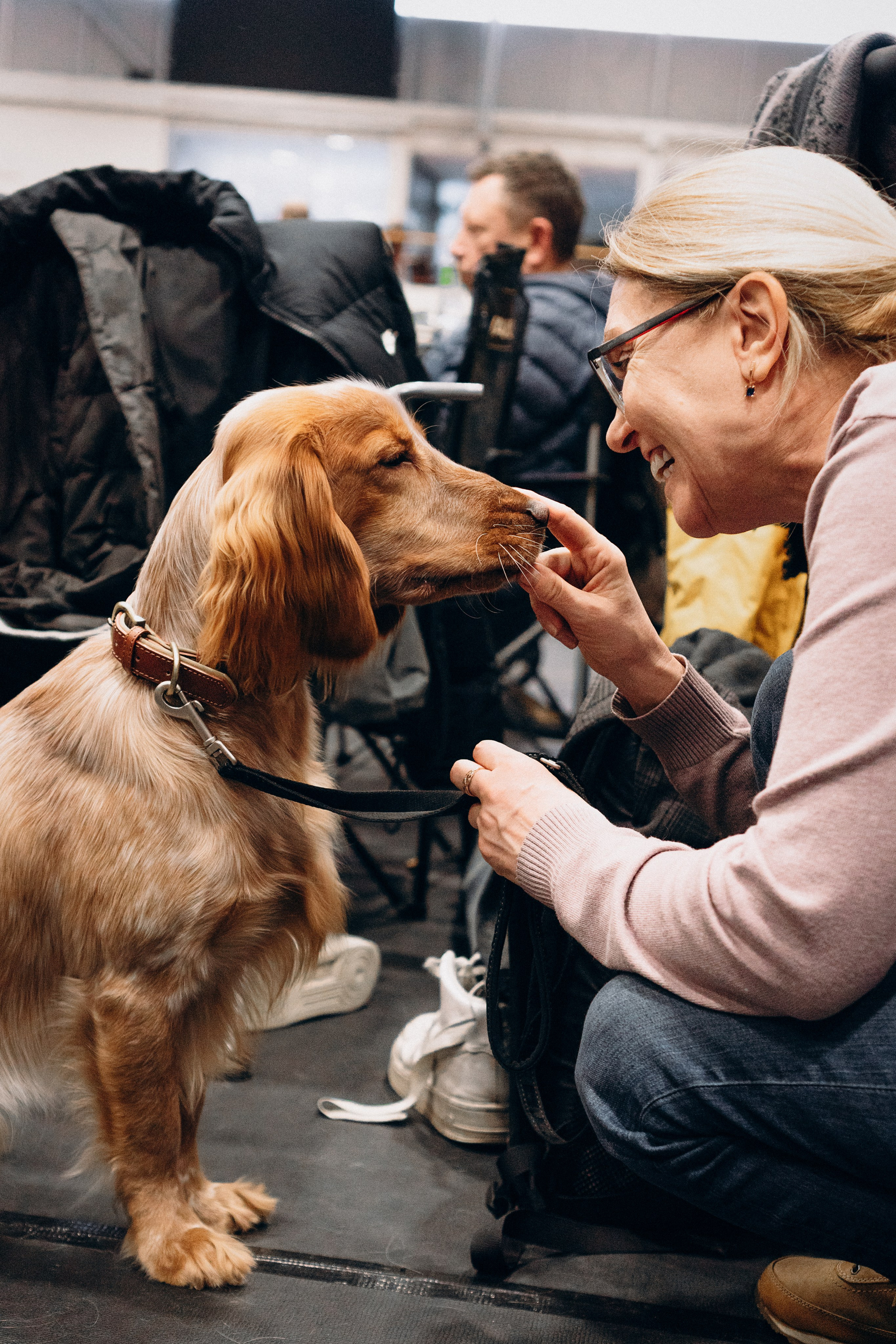 Pärnu dog weekend photo report. Kat Laisaar — Pet photographer in Tallinn