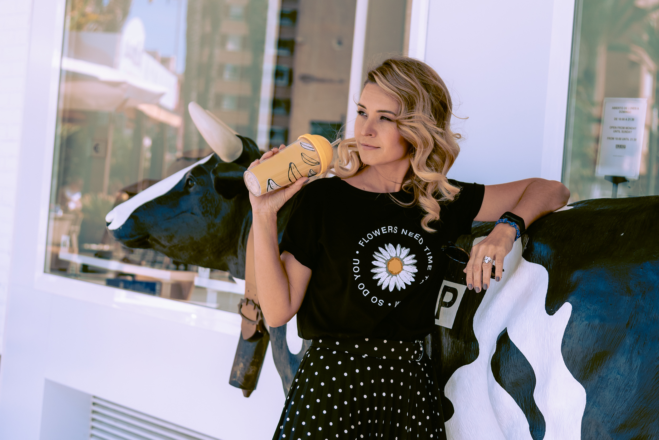 Lookbook for a stylist