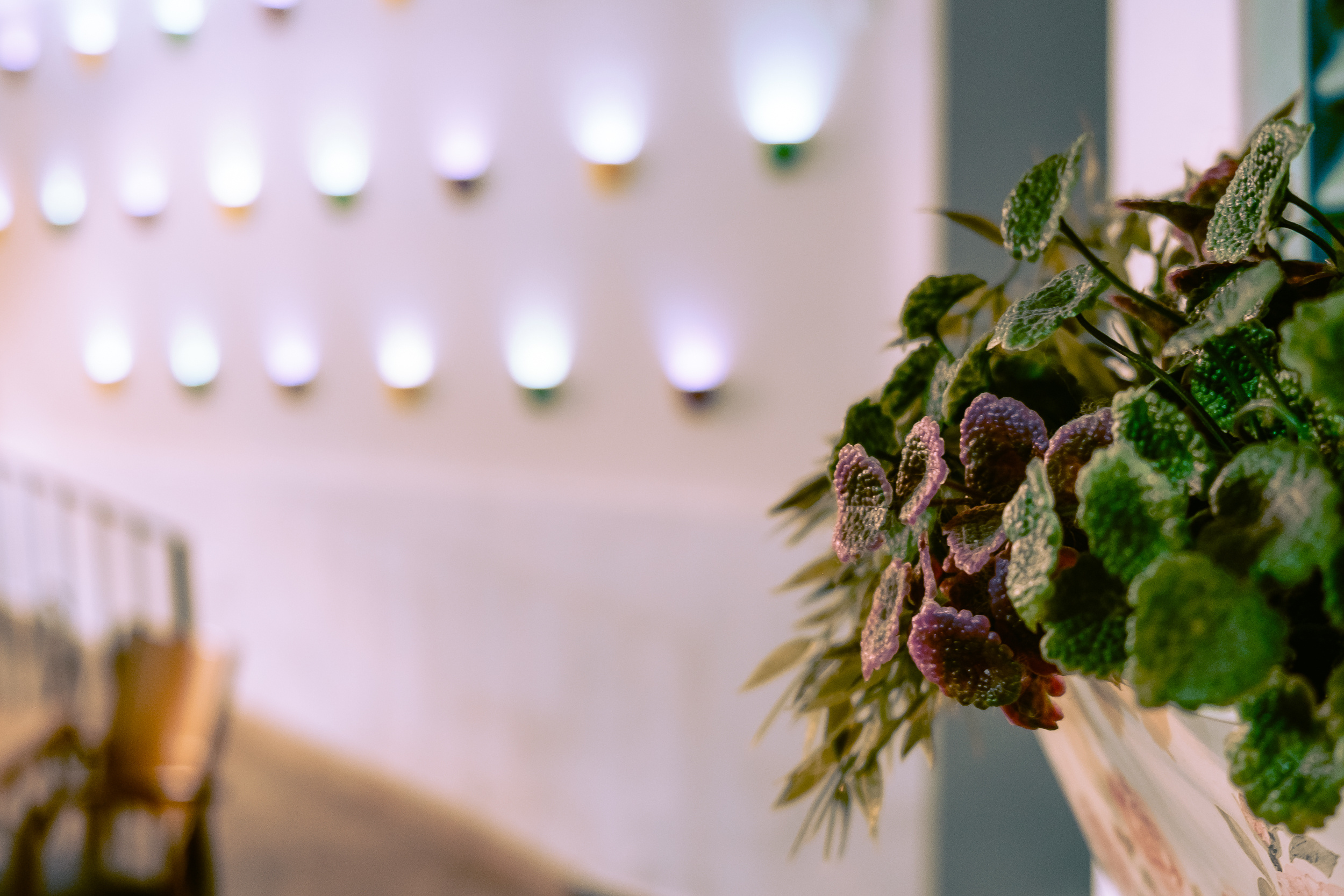 Интерьерная съемка кафе в Испании