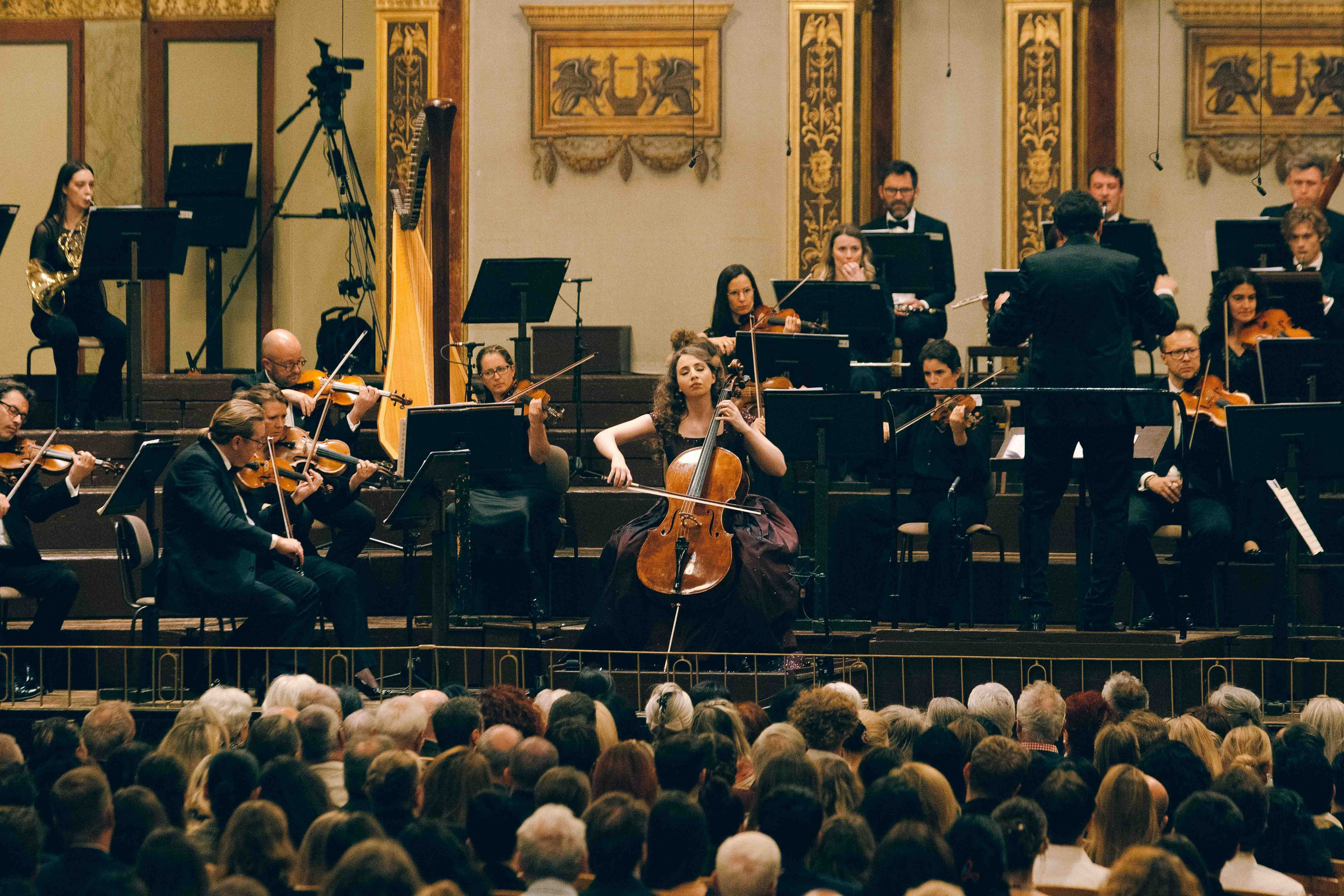 MUSIKVEREIN (VIENNA). Wedding&Event photographer Ismail Rzayev in Baku