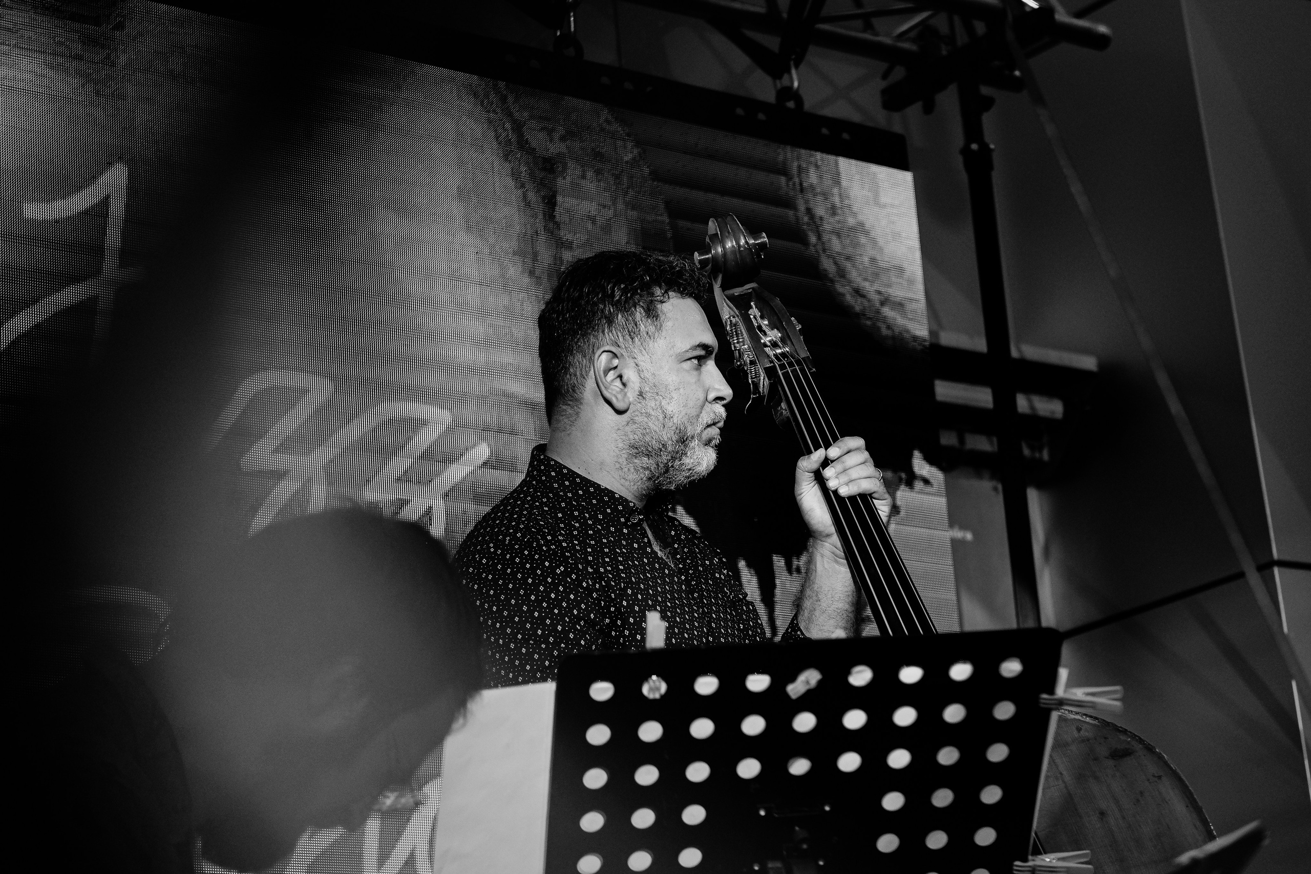 Razvan Cojanu. Hornetart