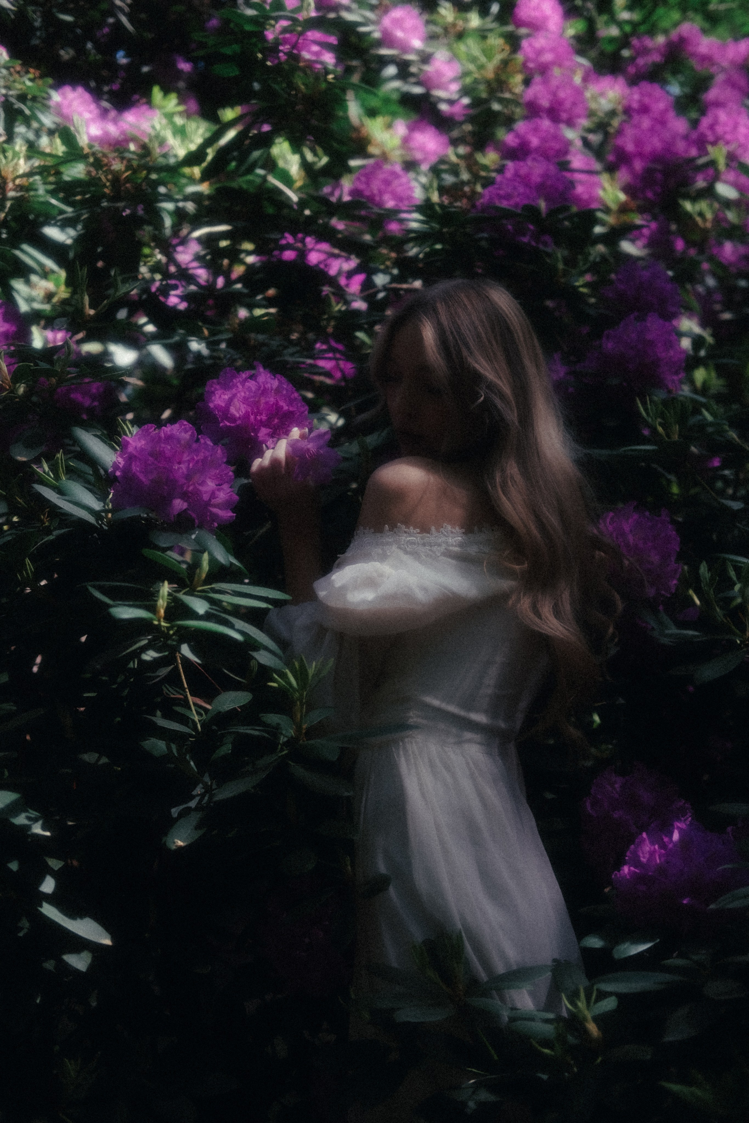 Somewhere between a dream and a fairytale ✨. Alena Iatkina — Fine Art Photographer