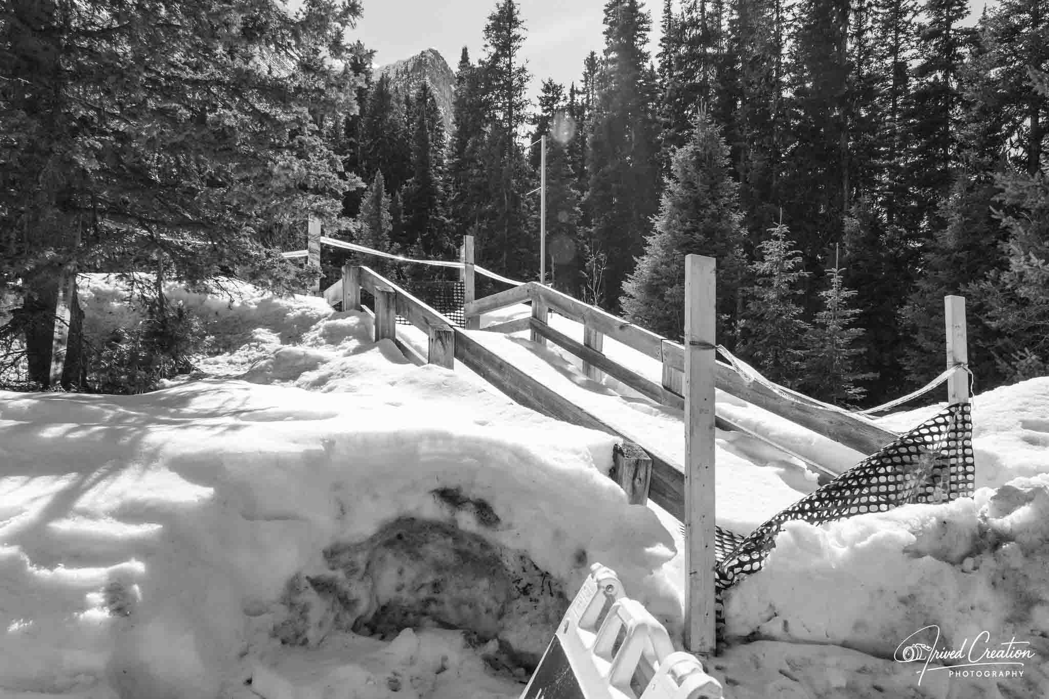 Landscape & Nature. Prived Creation