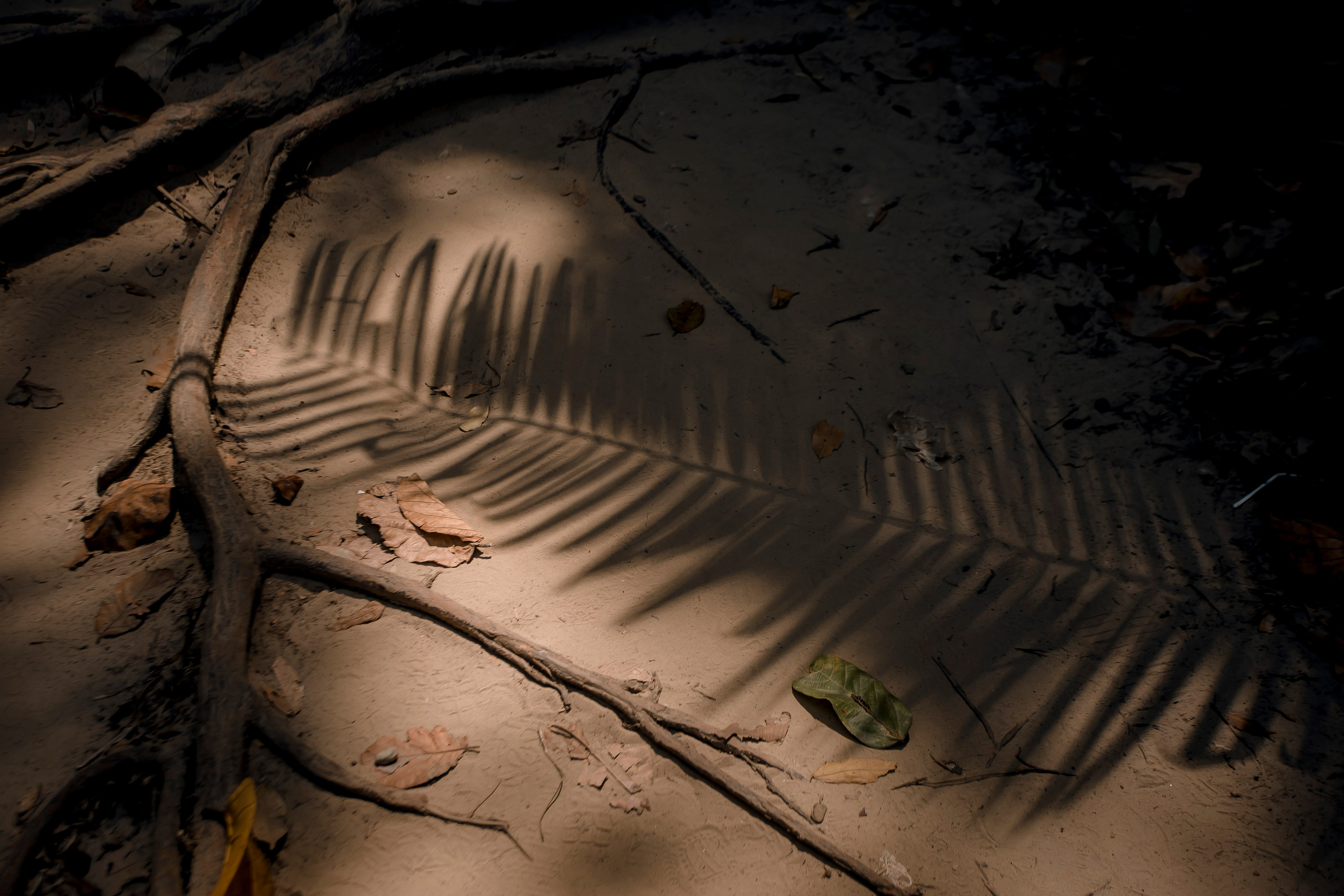 Andaman Islands, Part2. Art Photographer