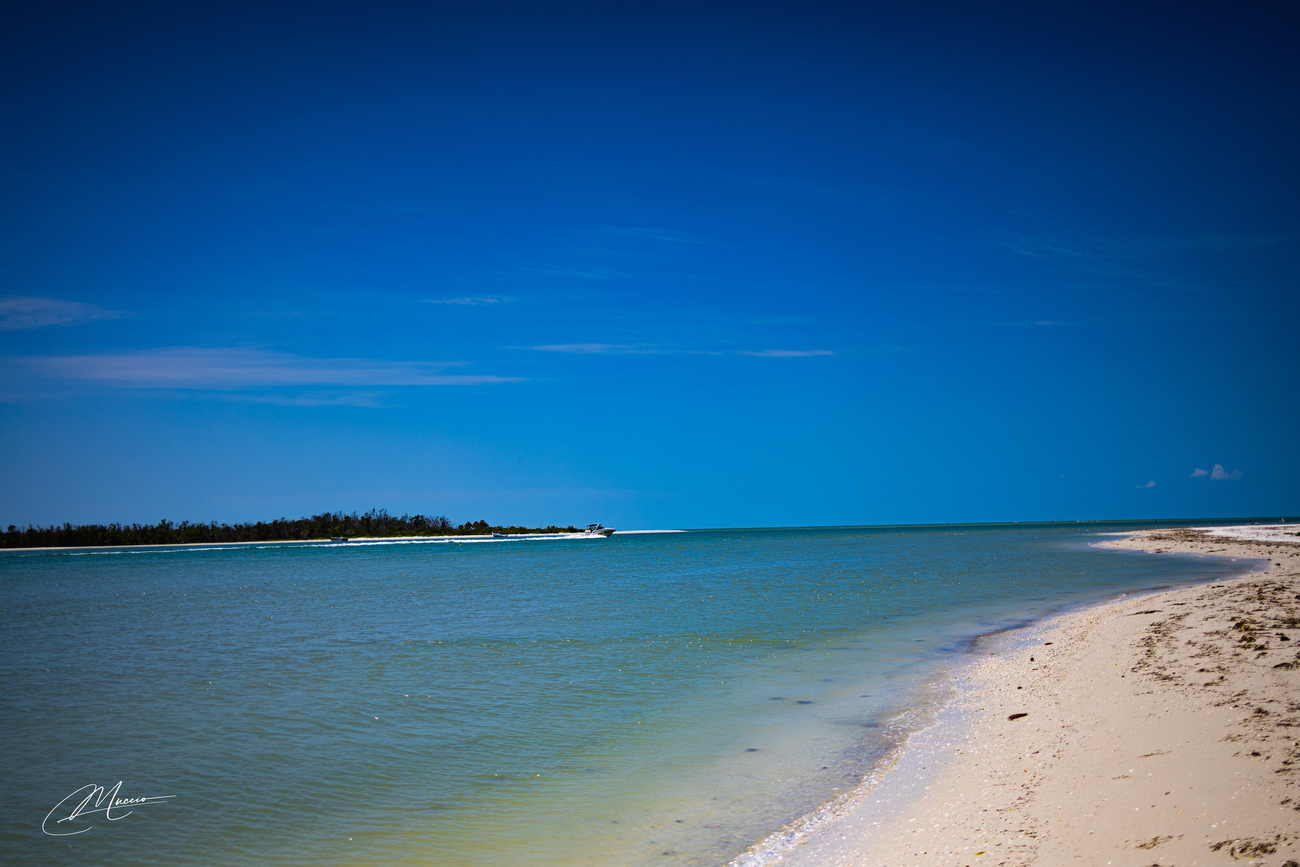 Florida Man — Fort Myers Walkabout. Out and About 239