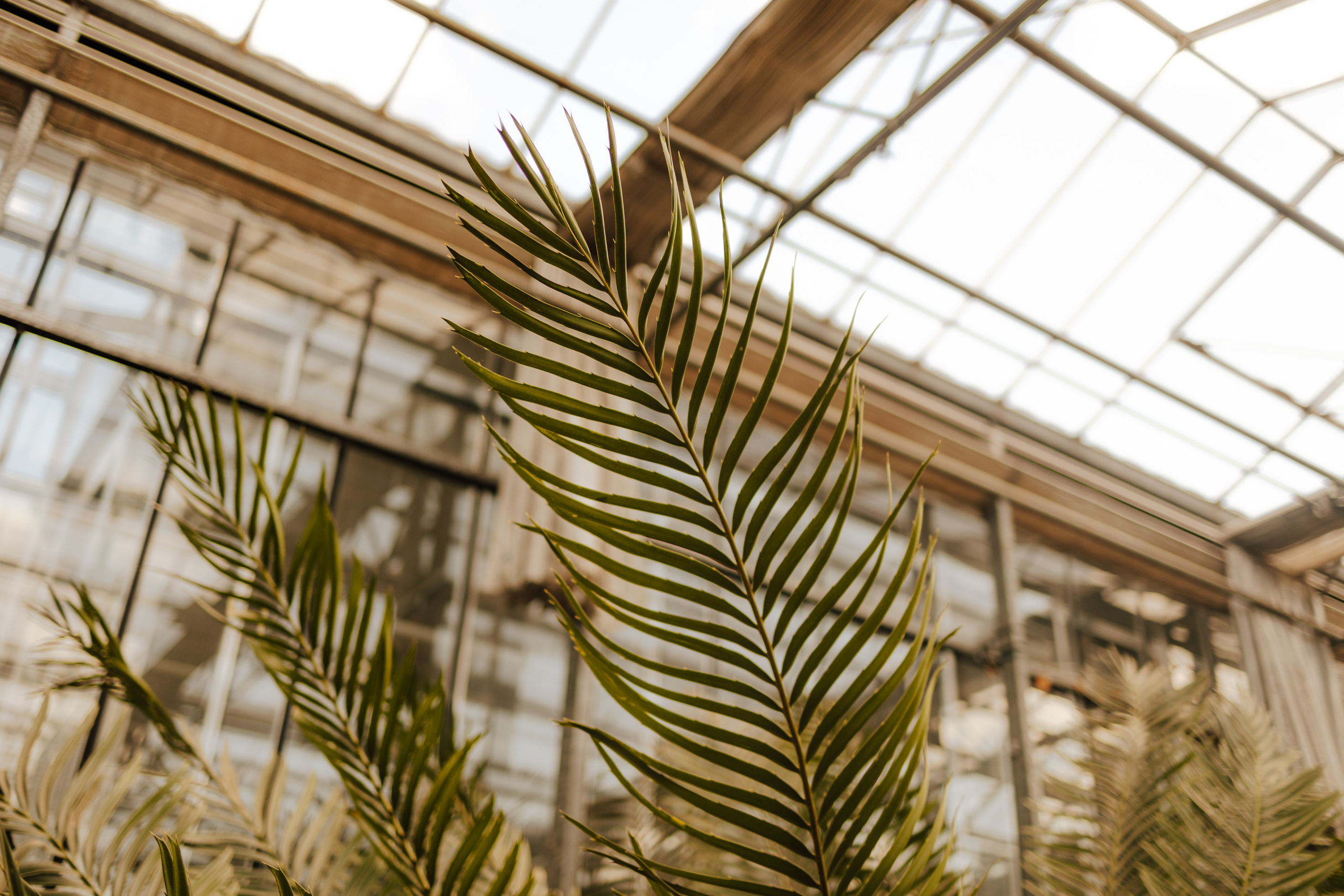 Magda&Krzysiek. Fotograf Siedlce
