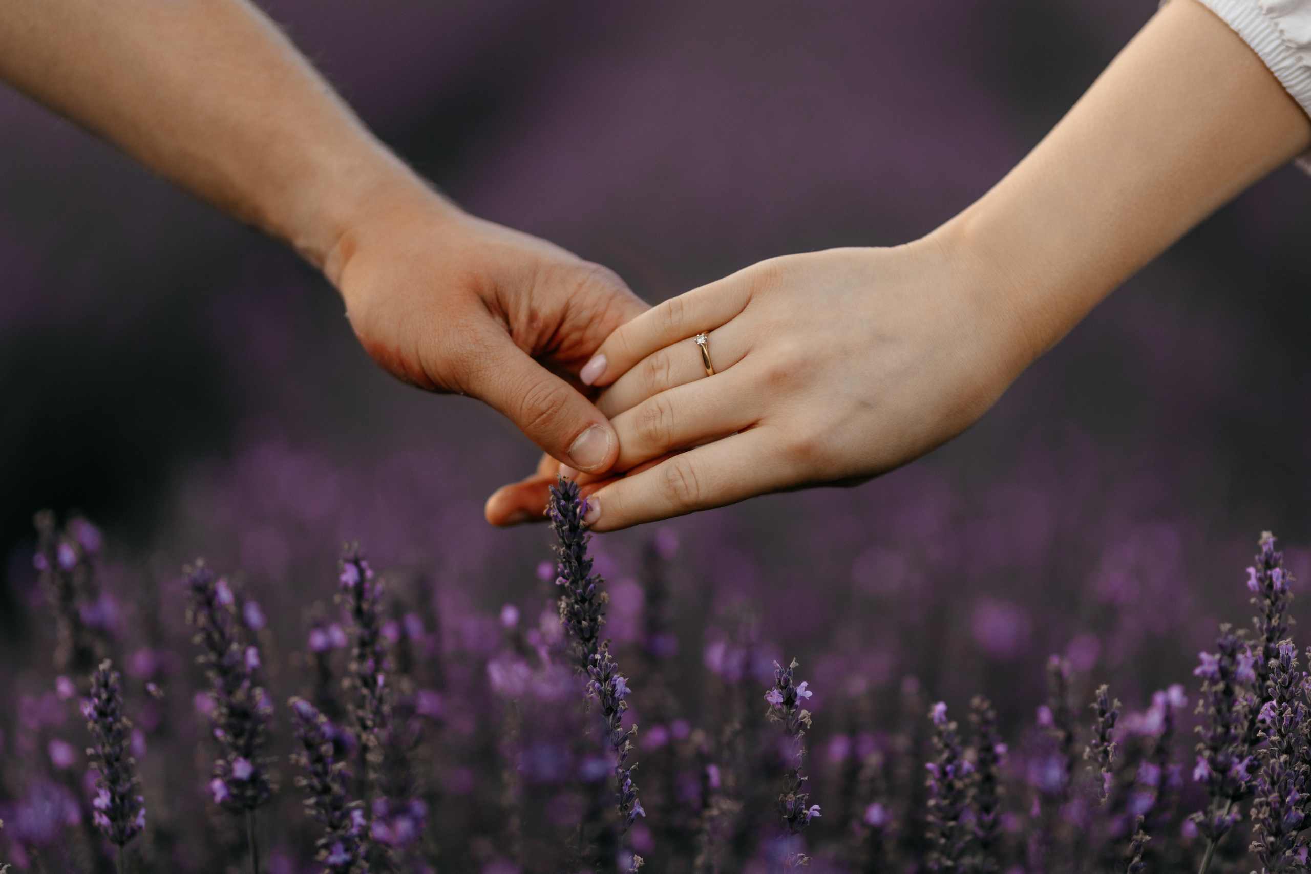 Patrycja&Piotrek. Fotograf Siedlce