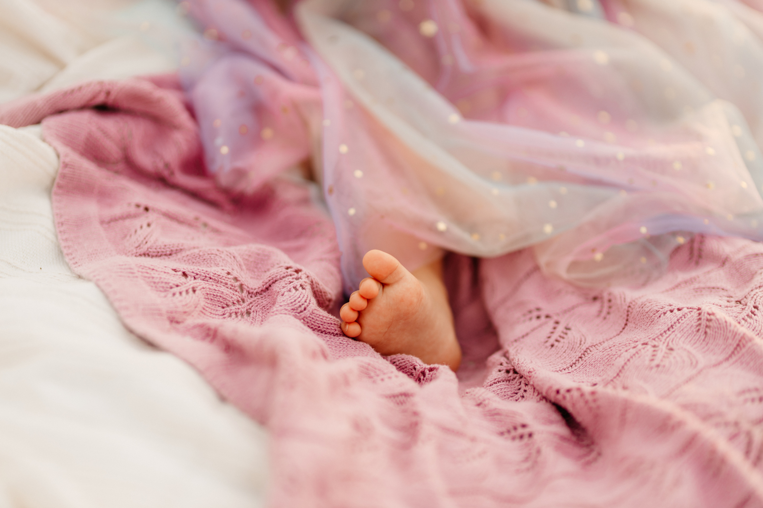 Sesja urodzinowa Liwii. Fotograf Siedlce