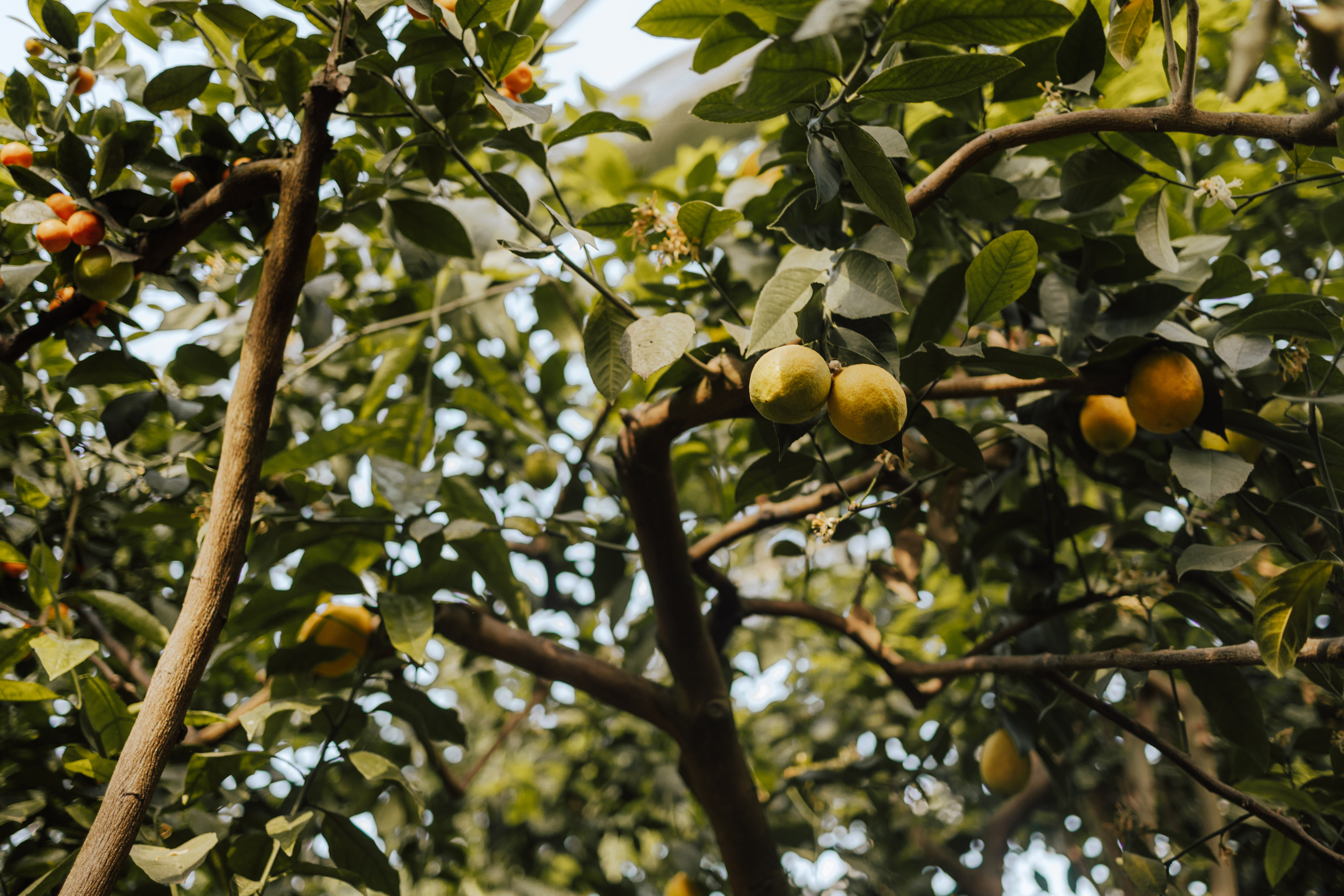 Magda&Krzysiek. Fotograf Siedlce