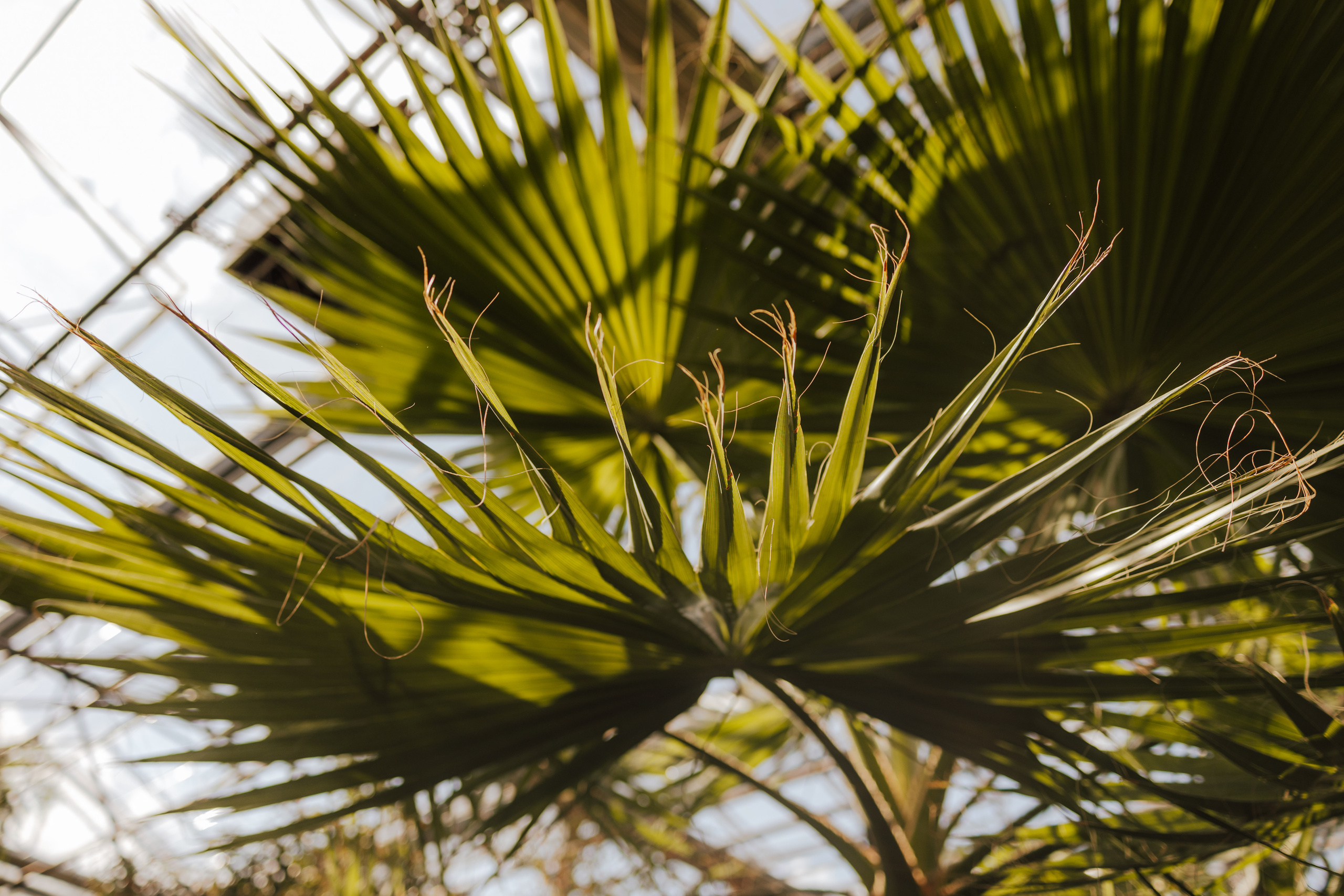 Magda&Krzysiek. Fotograf Siedlce