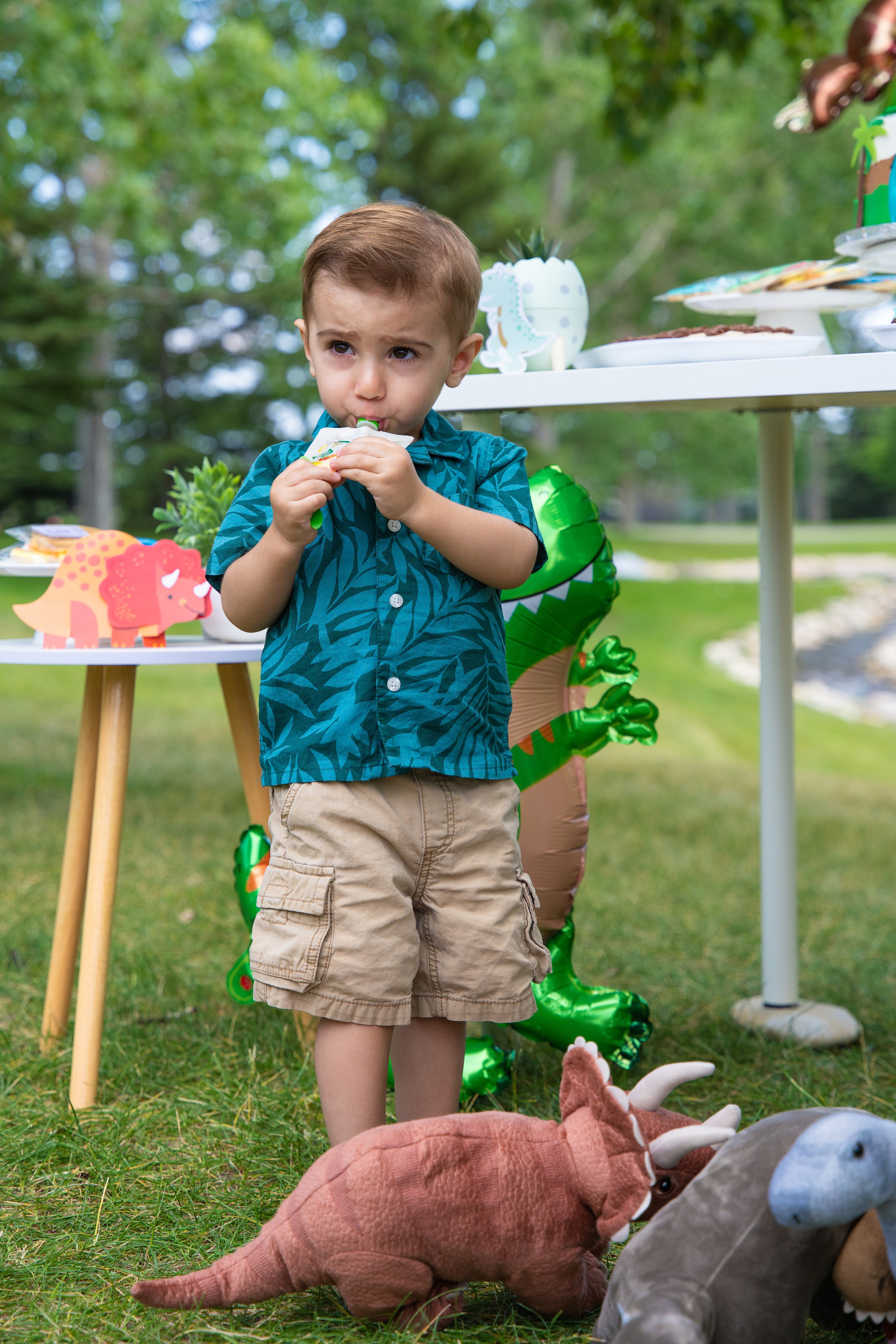 Joshua’s Party. Carlos Lima Photography — Photographer in Calgary