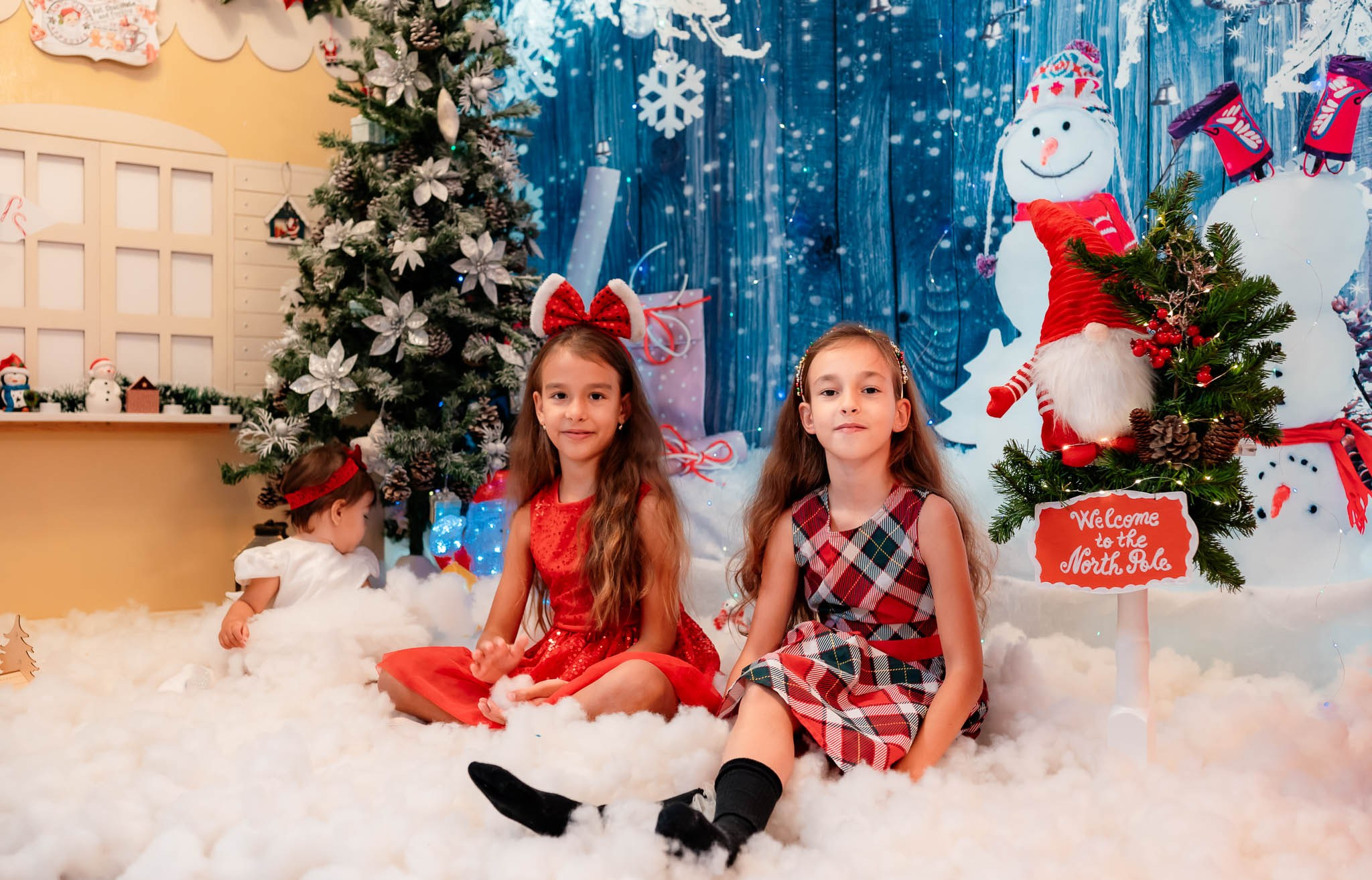 Sedinta Craciun Alina