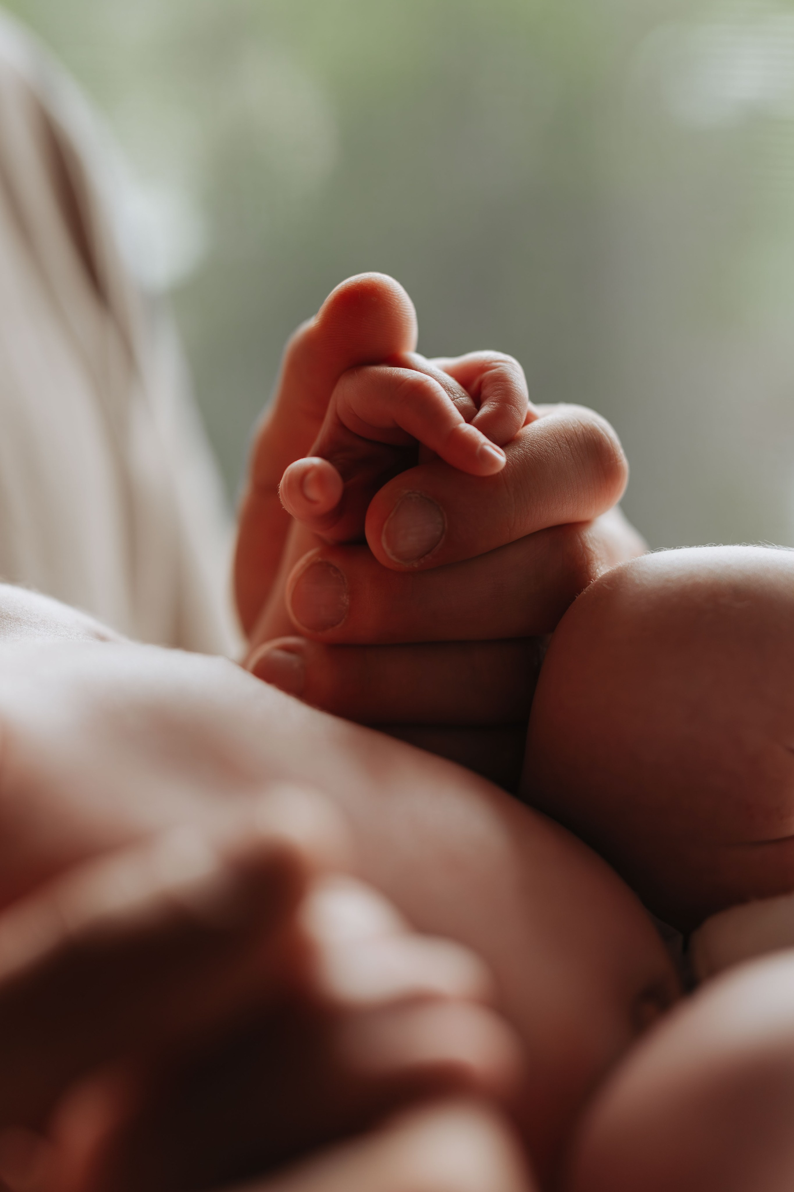 Pierwsza sesja Franka