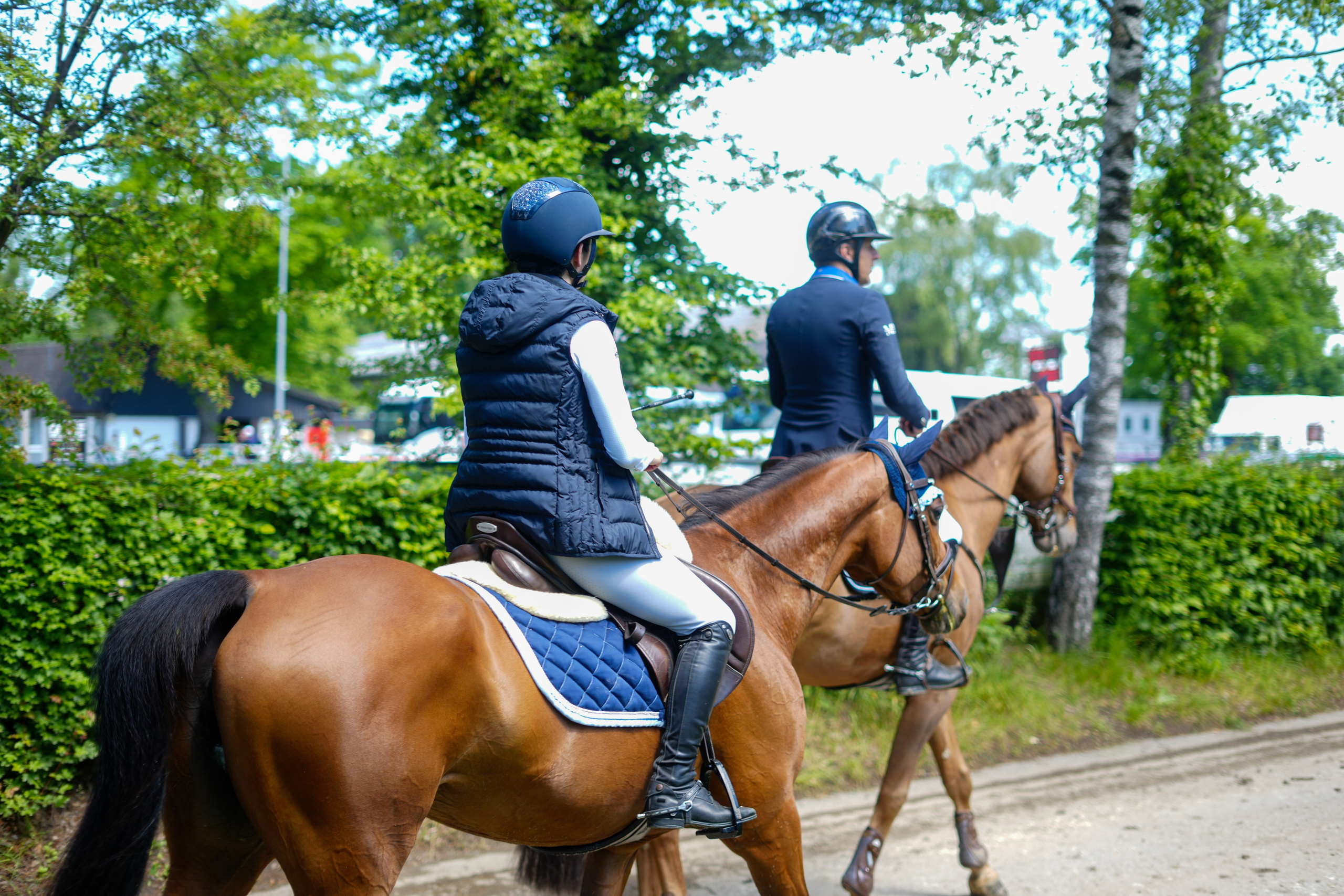 Equestrian Competition