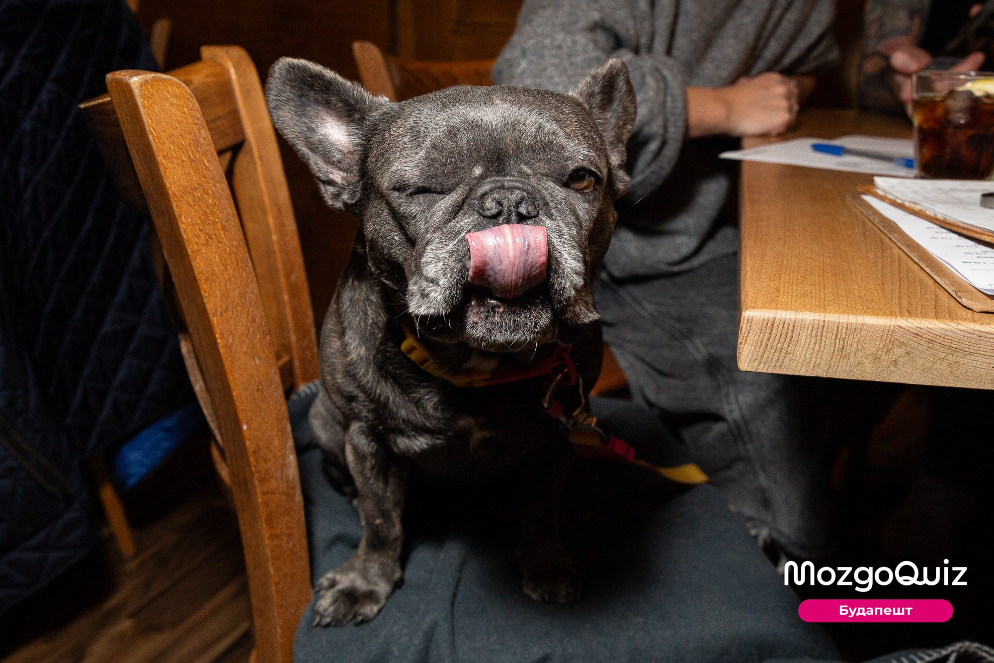 MozgoQUIZ BUDAPEST. Photographer in Budapest  — Yura Knyazev