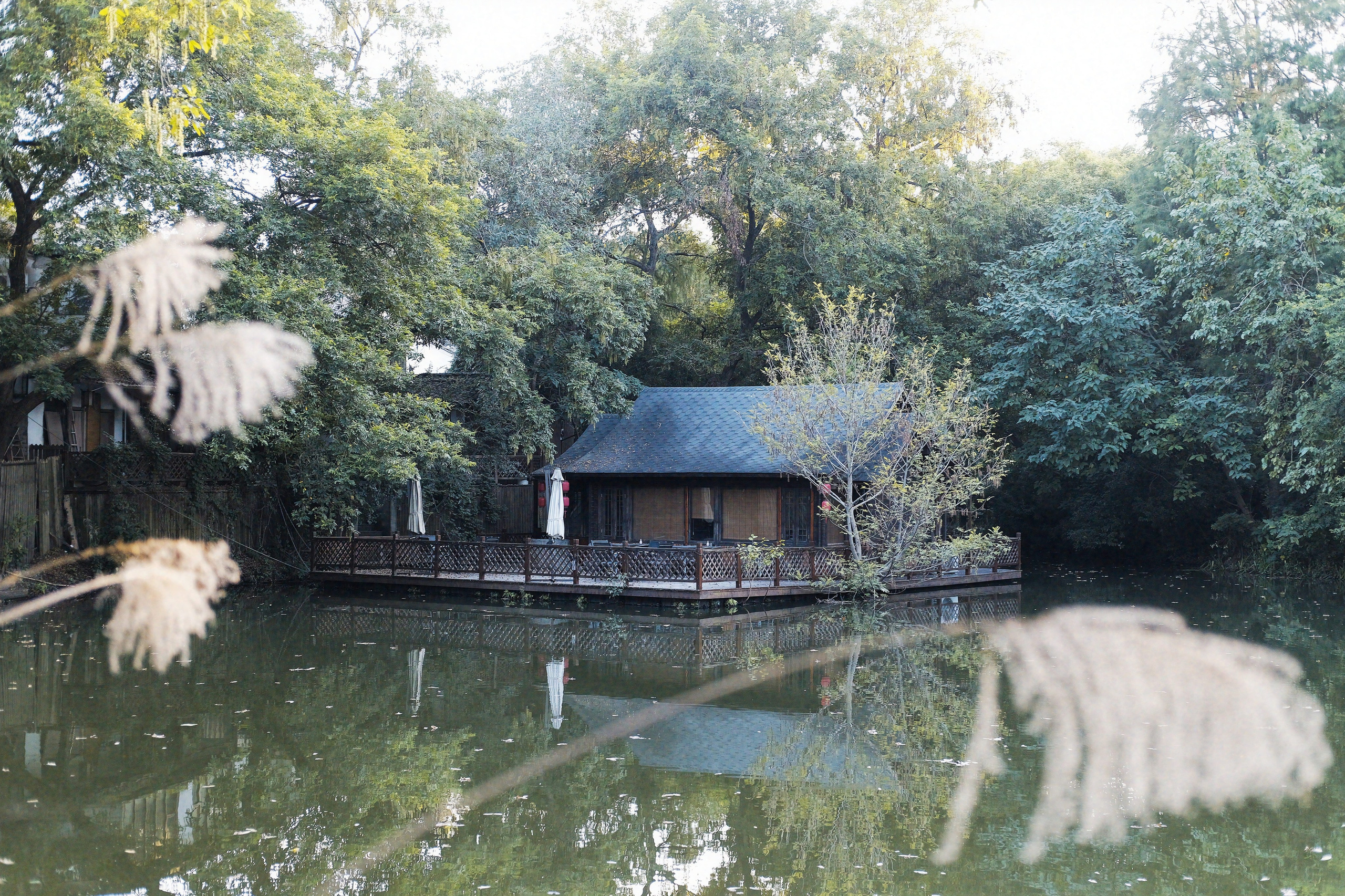 A Hidden House on the Water — Xixi Wetland, Hangzhou