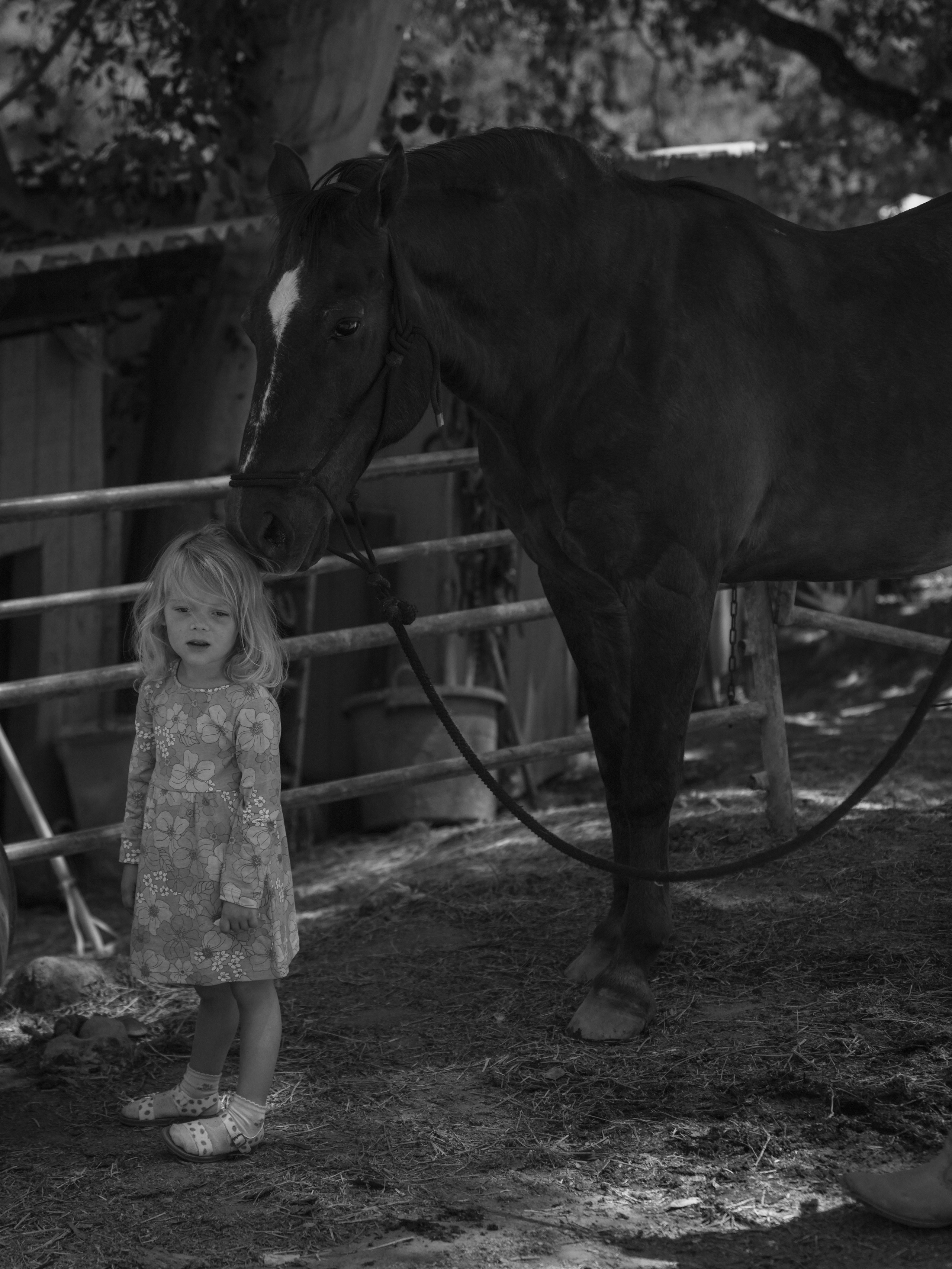 Children with horses. Фотограф и видеограф в США (и по всему миру) — Татьяна Иванова