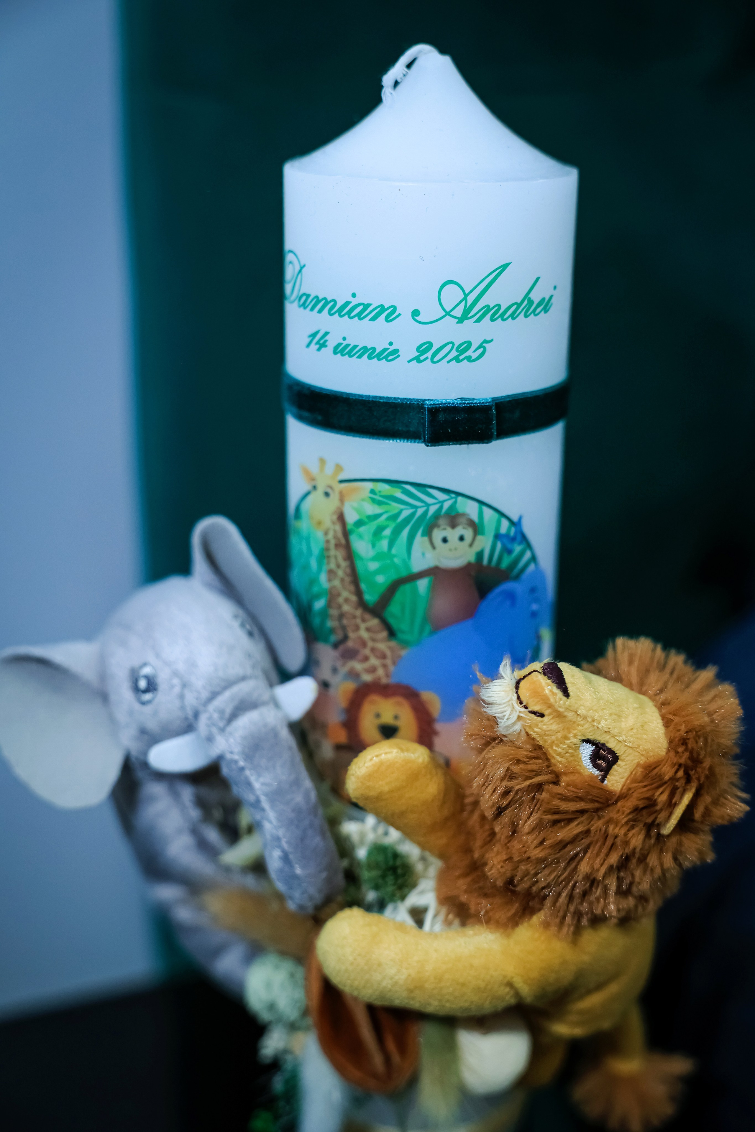 Andrei Damian. Moments By Gub