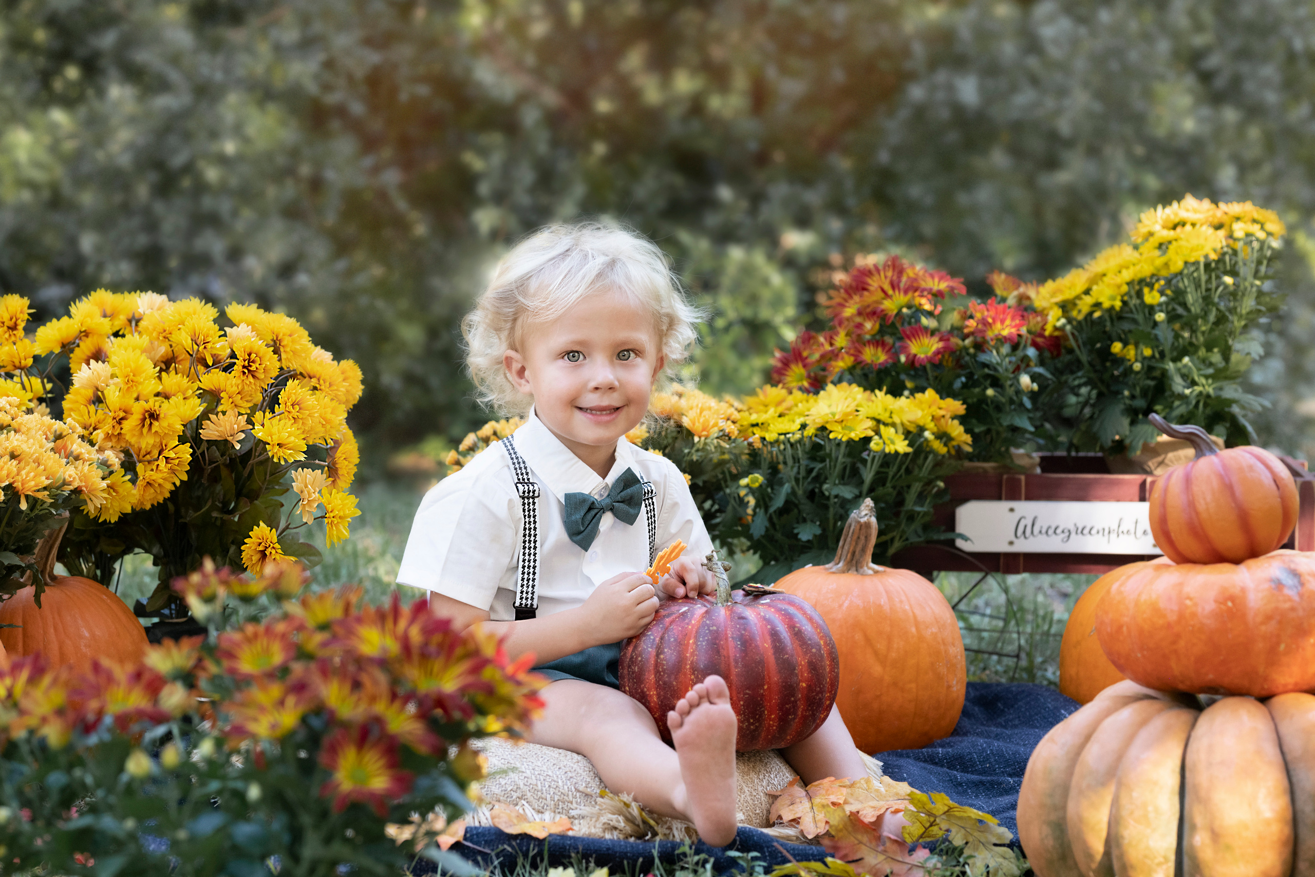 Kids. Portrait, kids and family photographer in Wesley Chapel Alina Alice Osipova