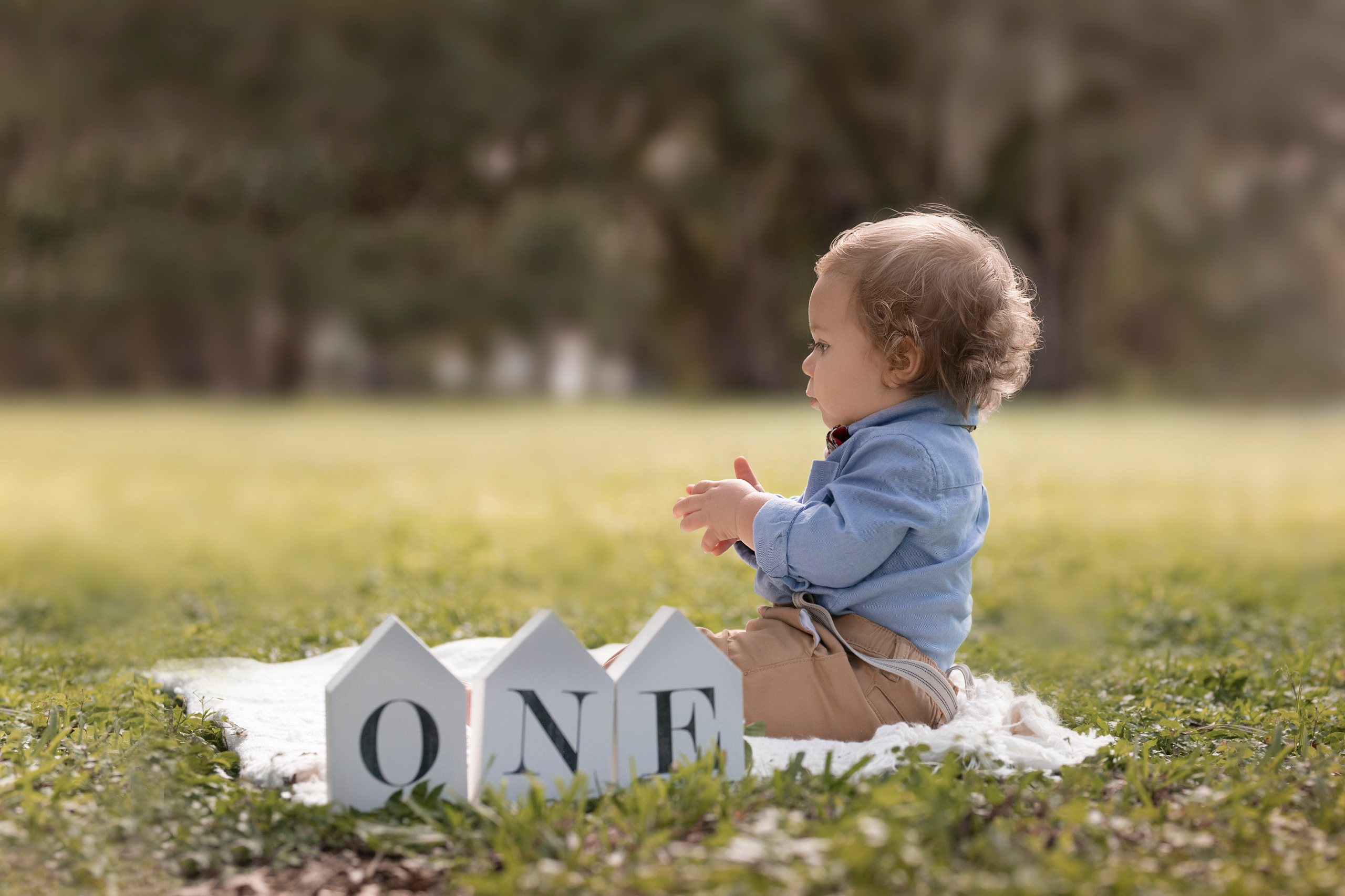 ONE YEAR. Portrait, kids and family photographer in Wesley Chapel Alina Alice Osipova