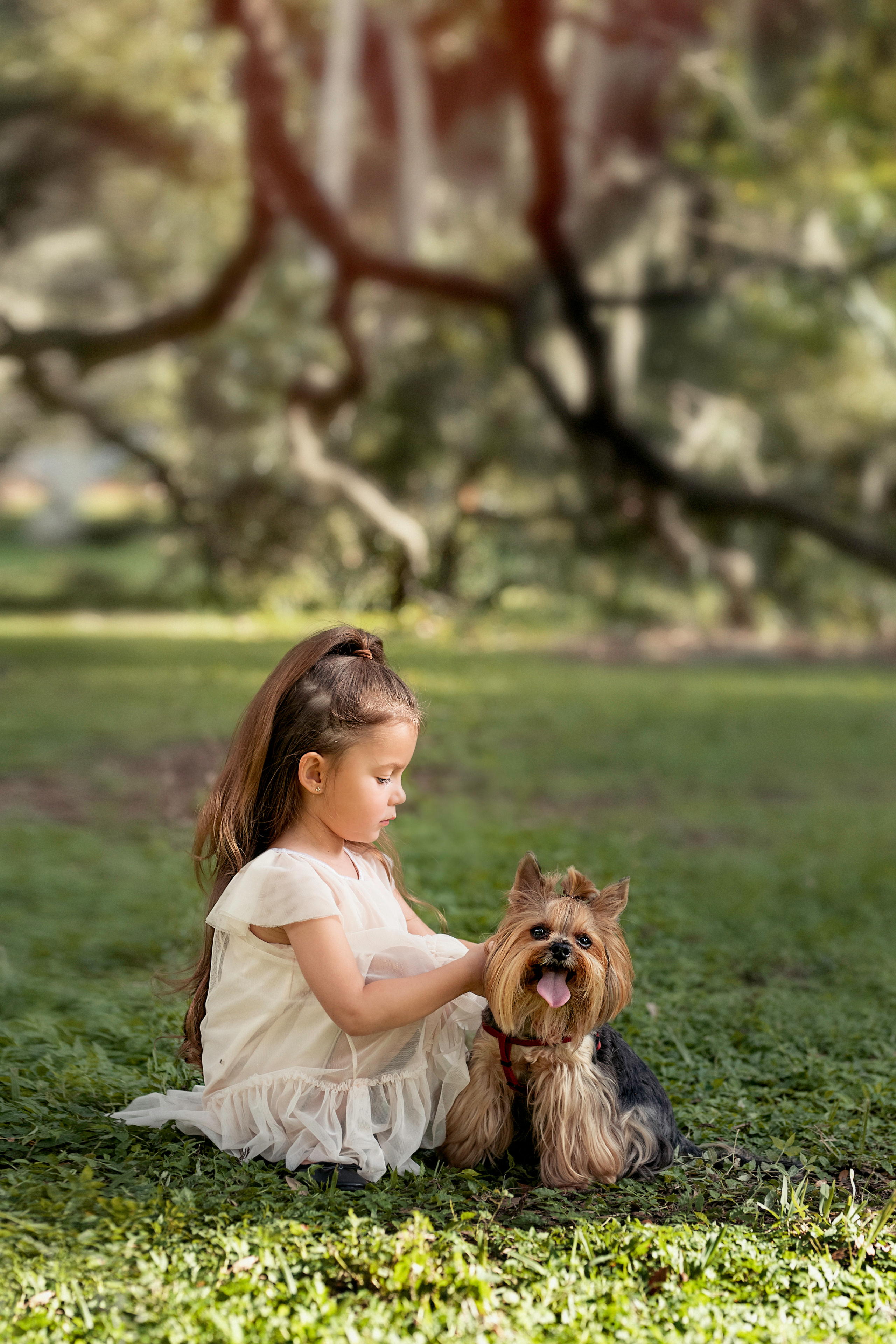 Kids. Portrait, kids and family photographer in Wesley Chapel Alina Alice Osipova