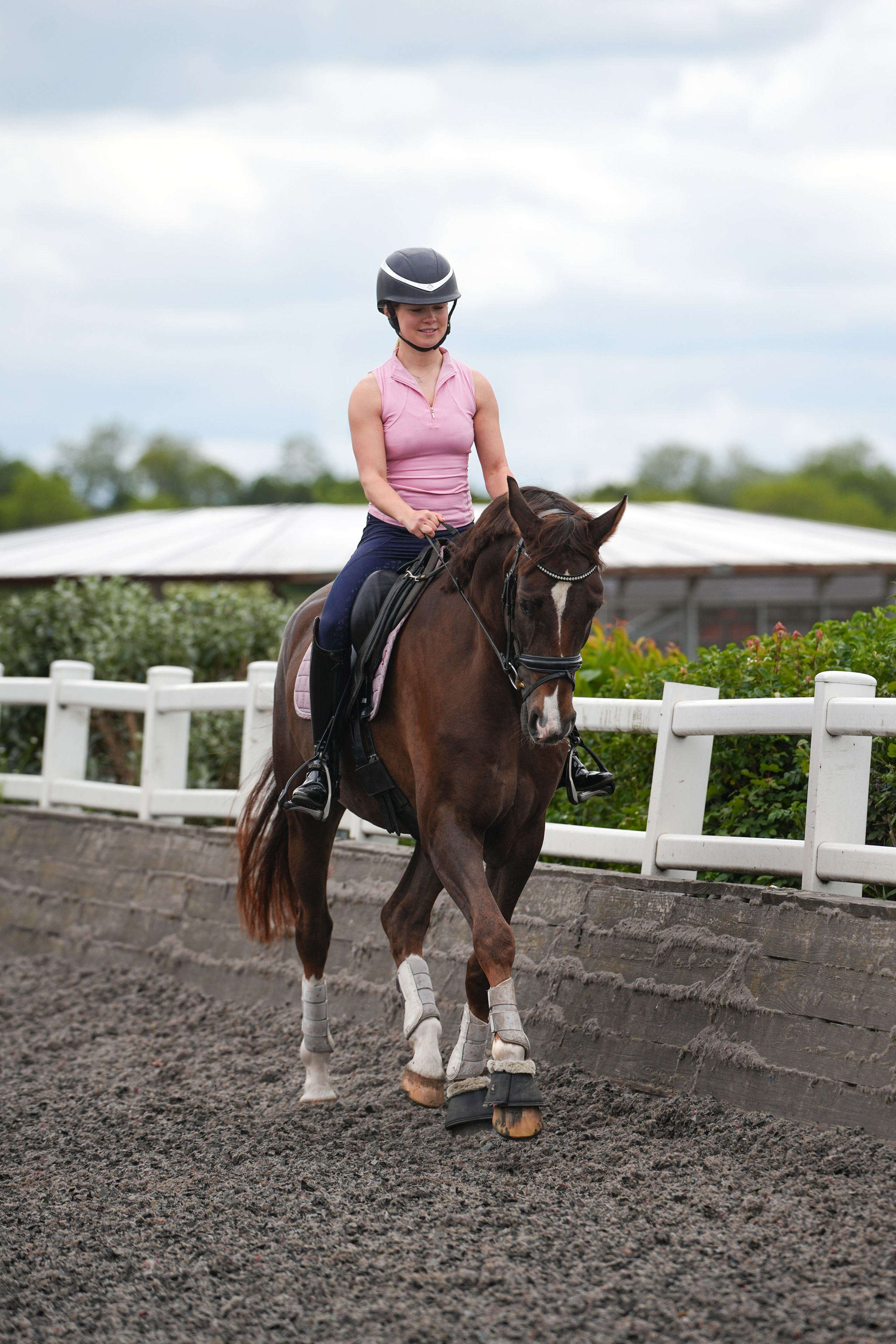 Equine Photography Portfolio | Leicestershire Horse Portrait Photographer. Leicestershire Equine Photography by El | Authentic Equine Portraits & Events