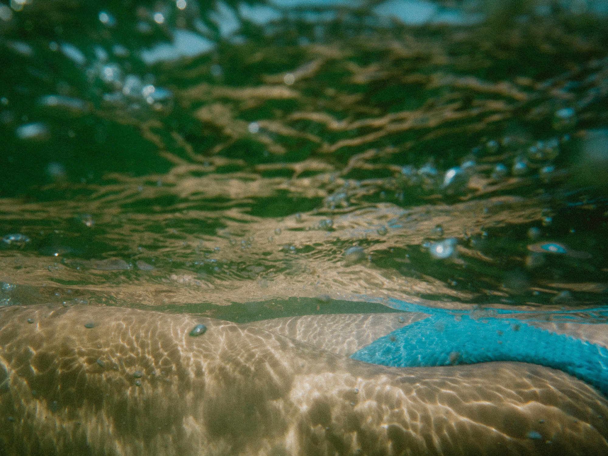 Карина. Film portrait photographer