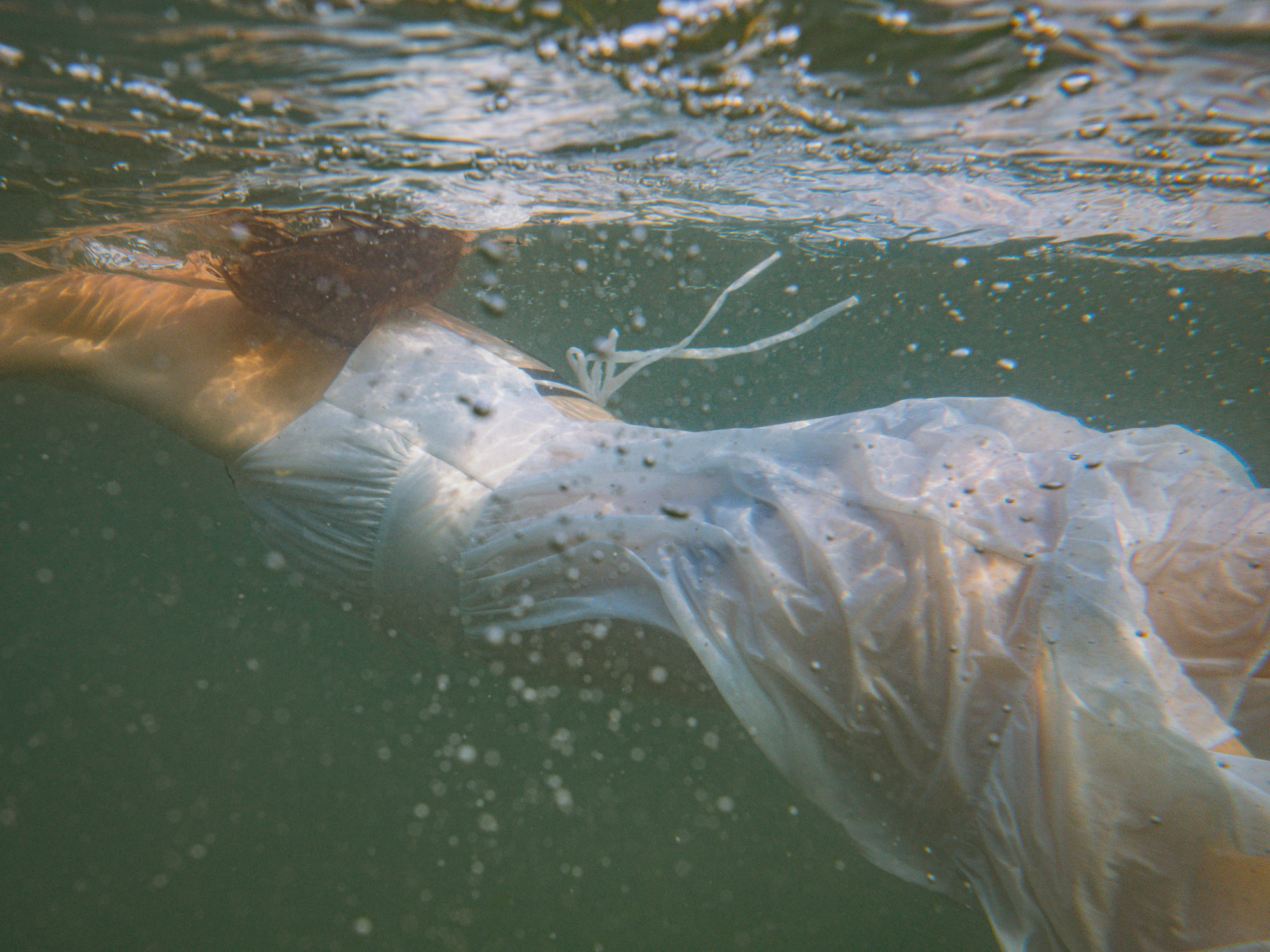 Регина. Film photographer