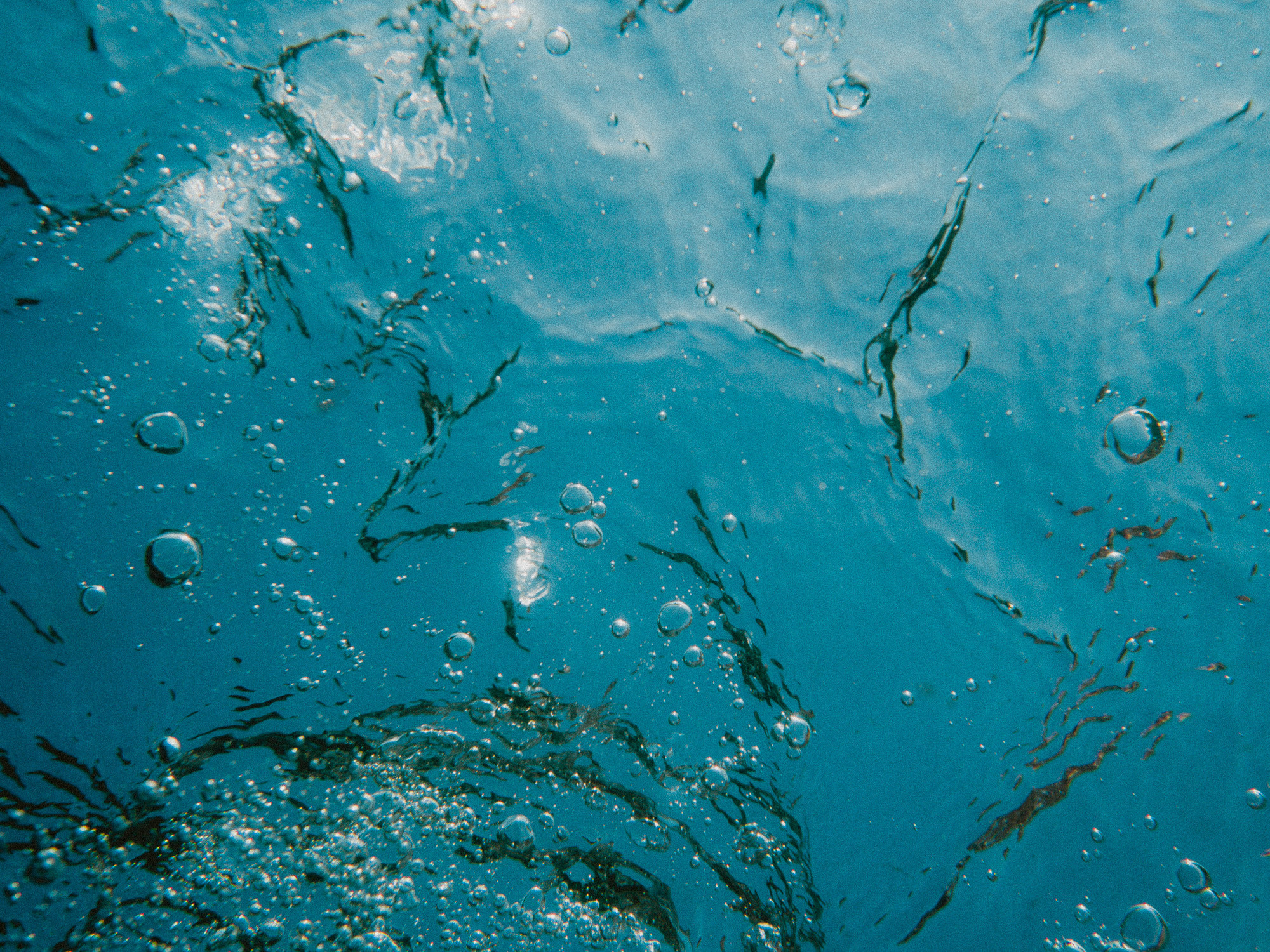 Тая. Film portrait photographer