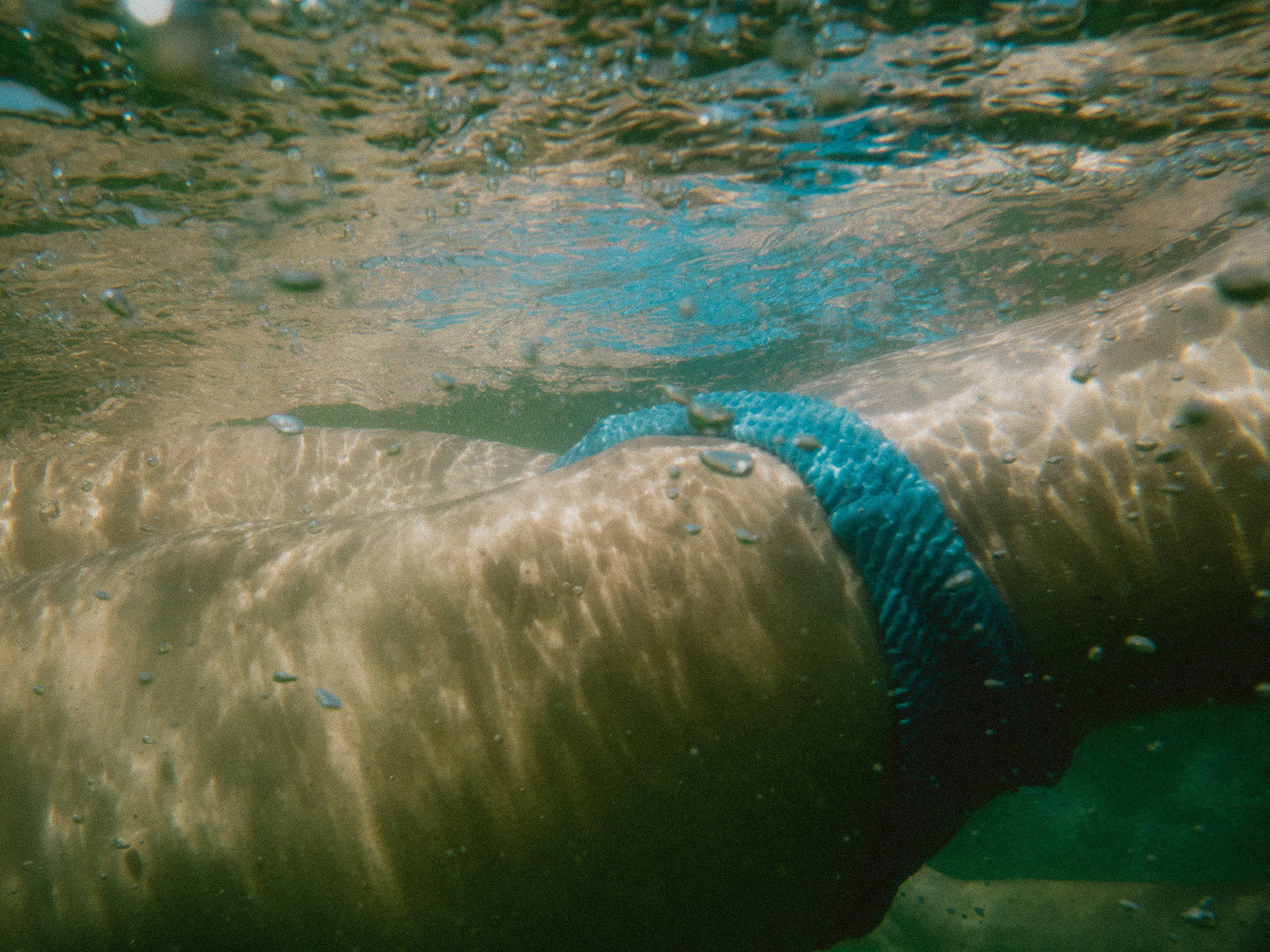 Карина. Film portrait photographer