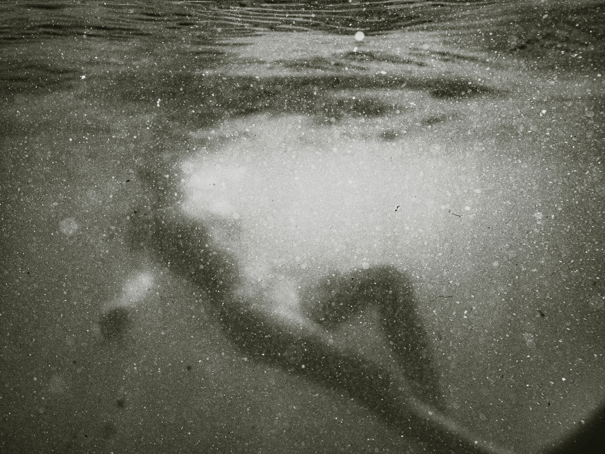 Тая. Film portrait photographer