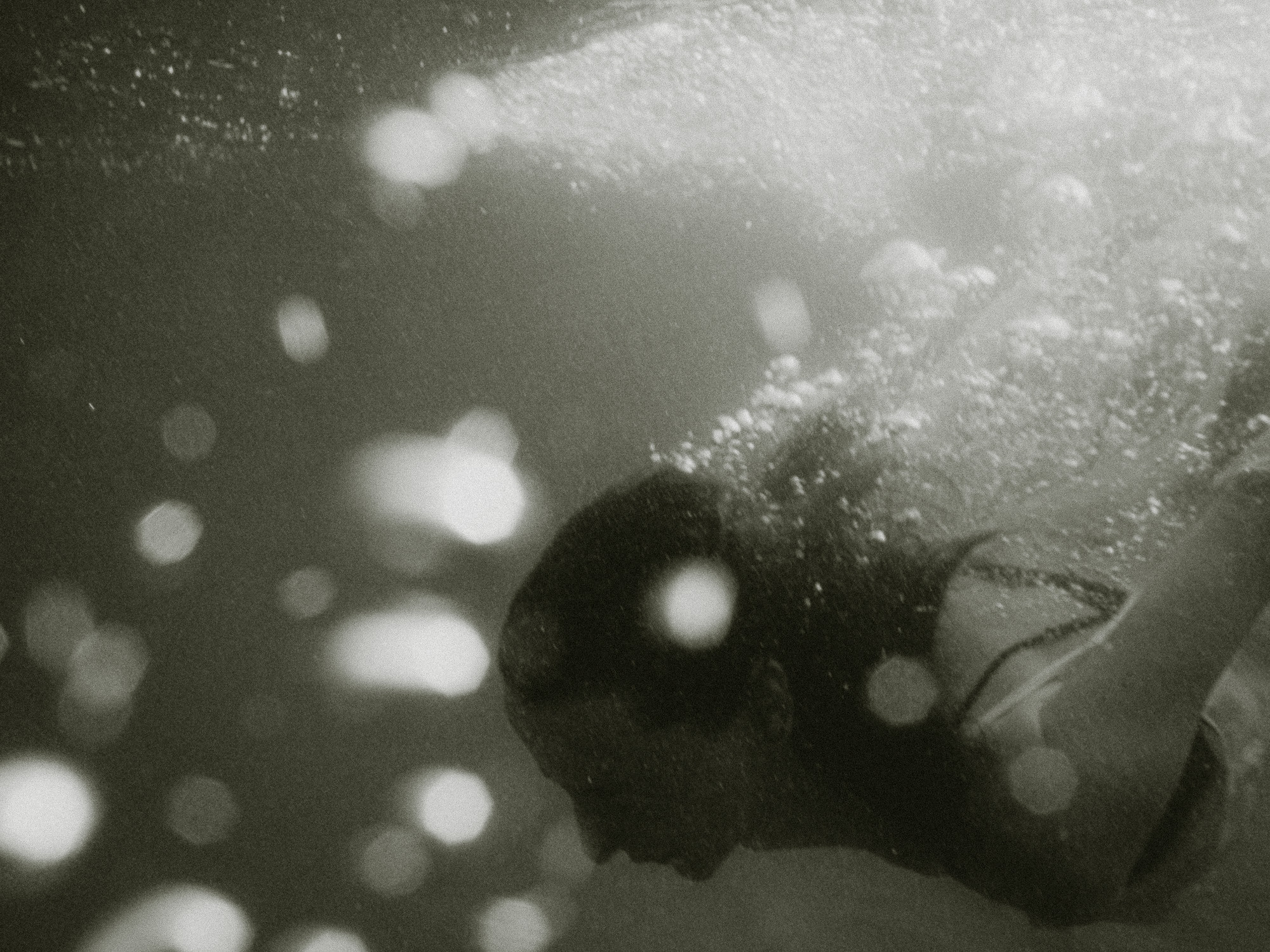 Регина. Film photographer