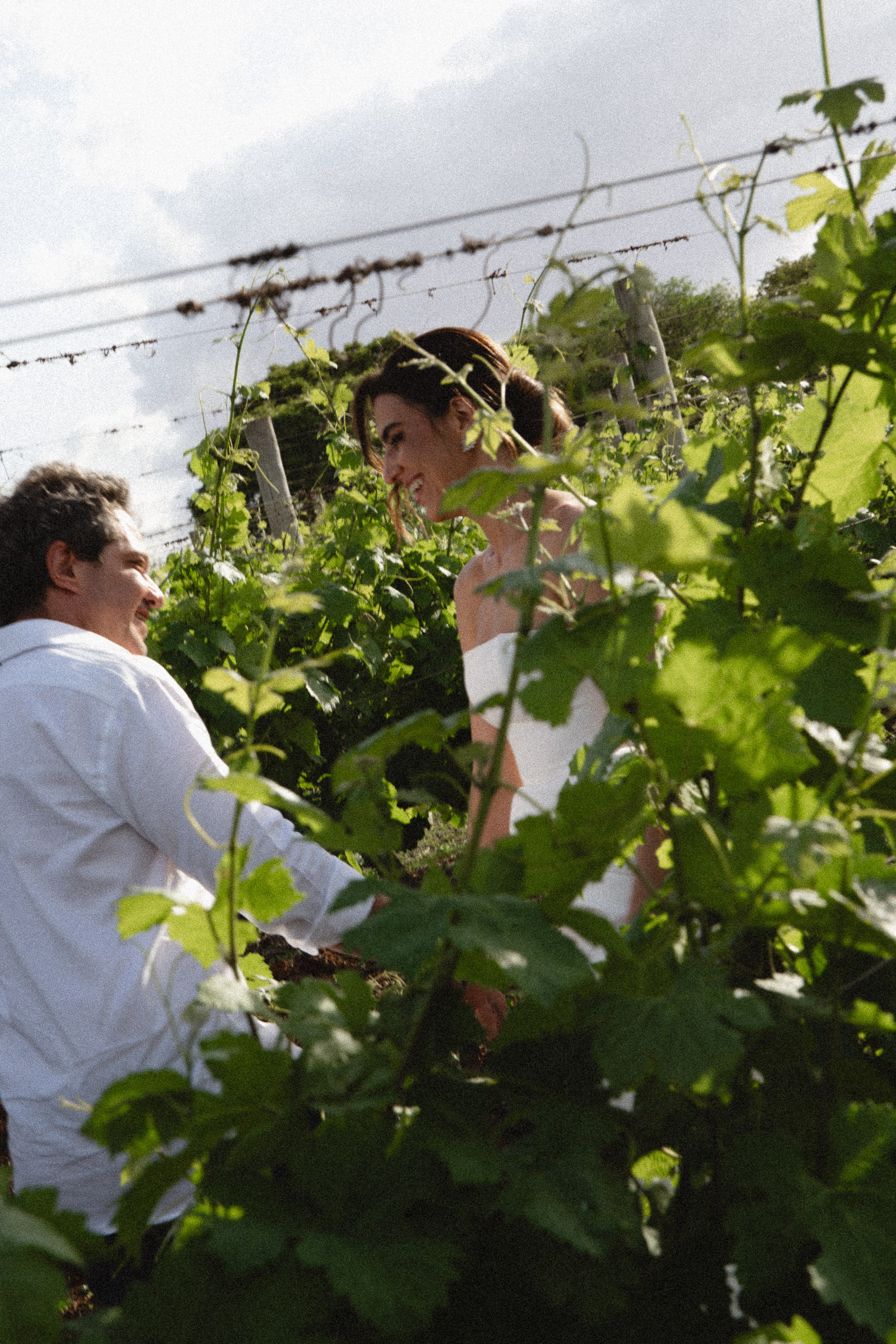 Casamento Marceli e Diego — Vinícola Terras Altas. Fotógrafo de casamento e Filmmaker de casamento