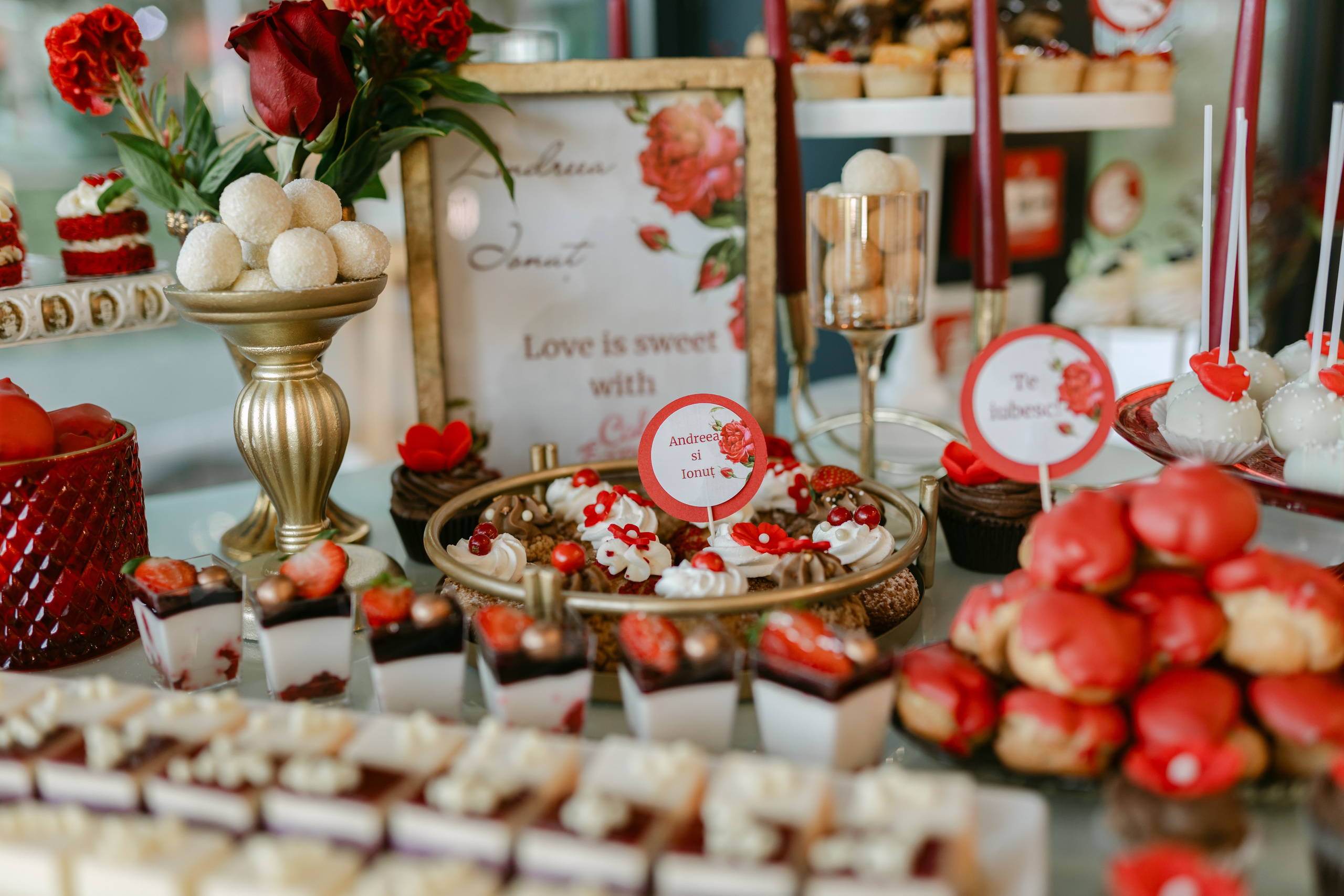 Andreea | Ionut. Gabrielacojocariu.com