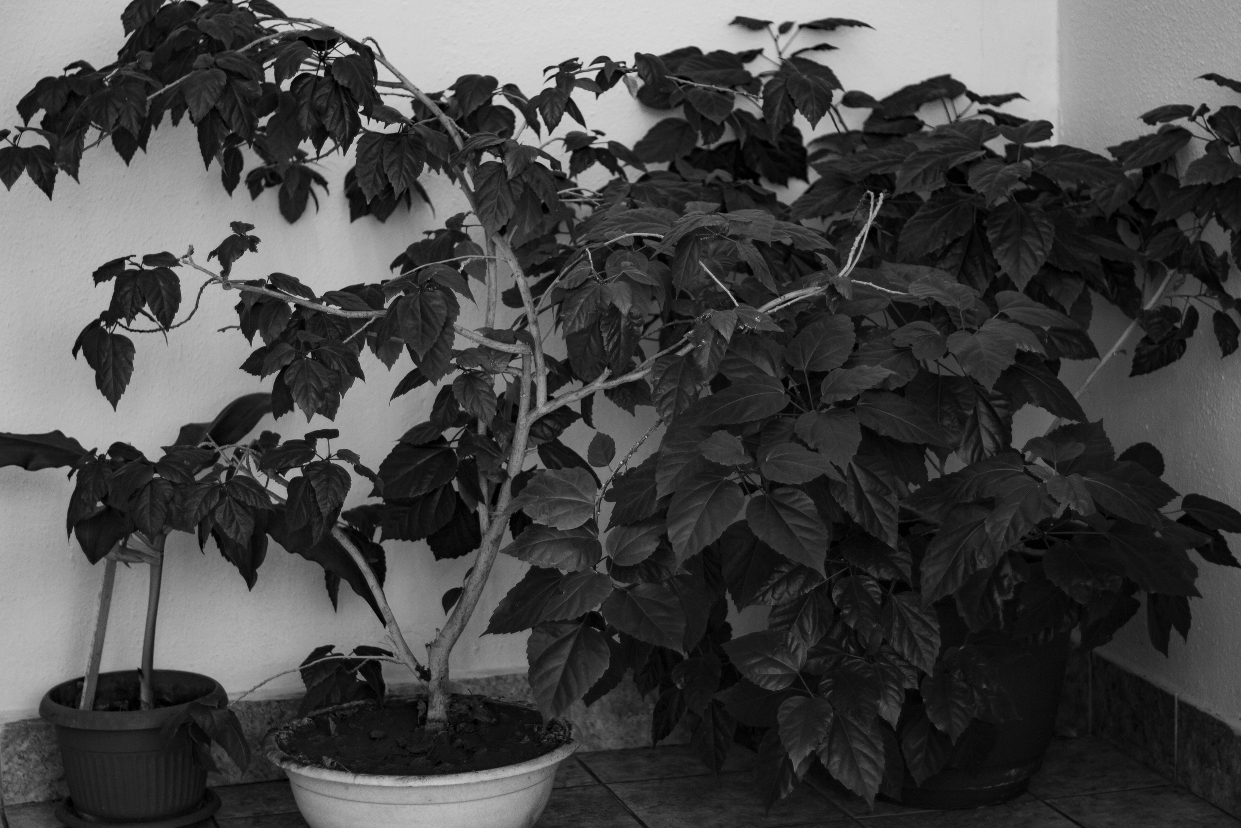 Кто сказал, что будет легко (в процессе). Екатерина Федорова