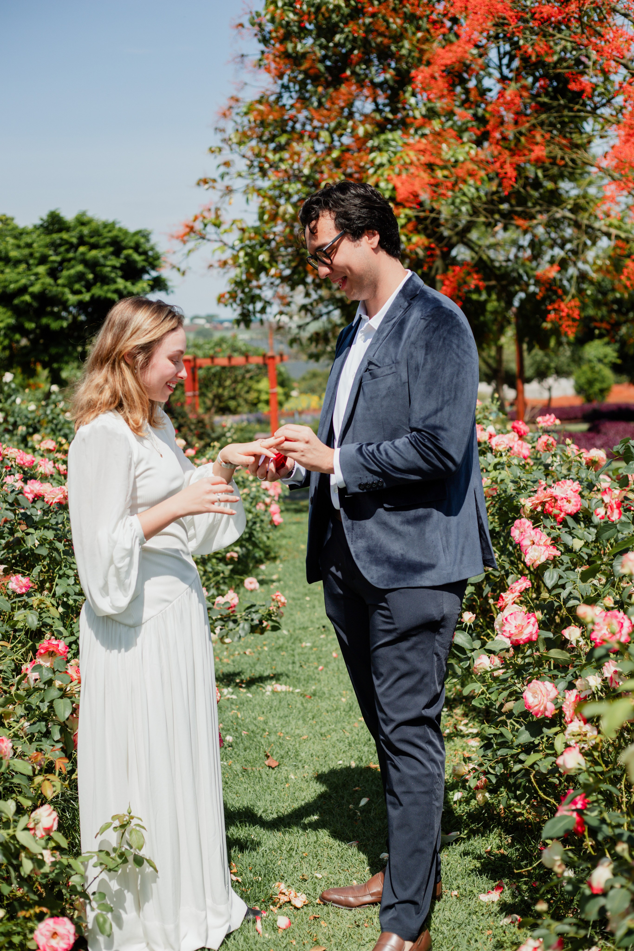 Pedido de Casamento /Bloemen Park. Joyce Maria Fotografia | Fotógrafa em Holambra