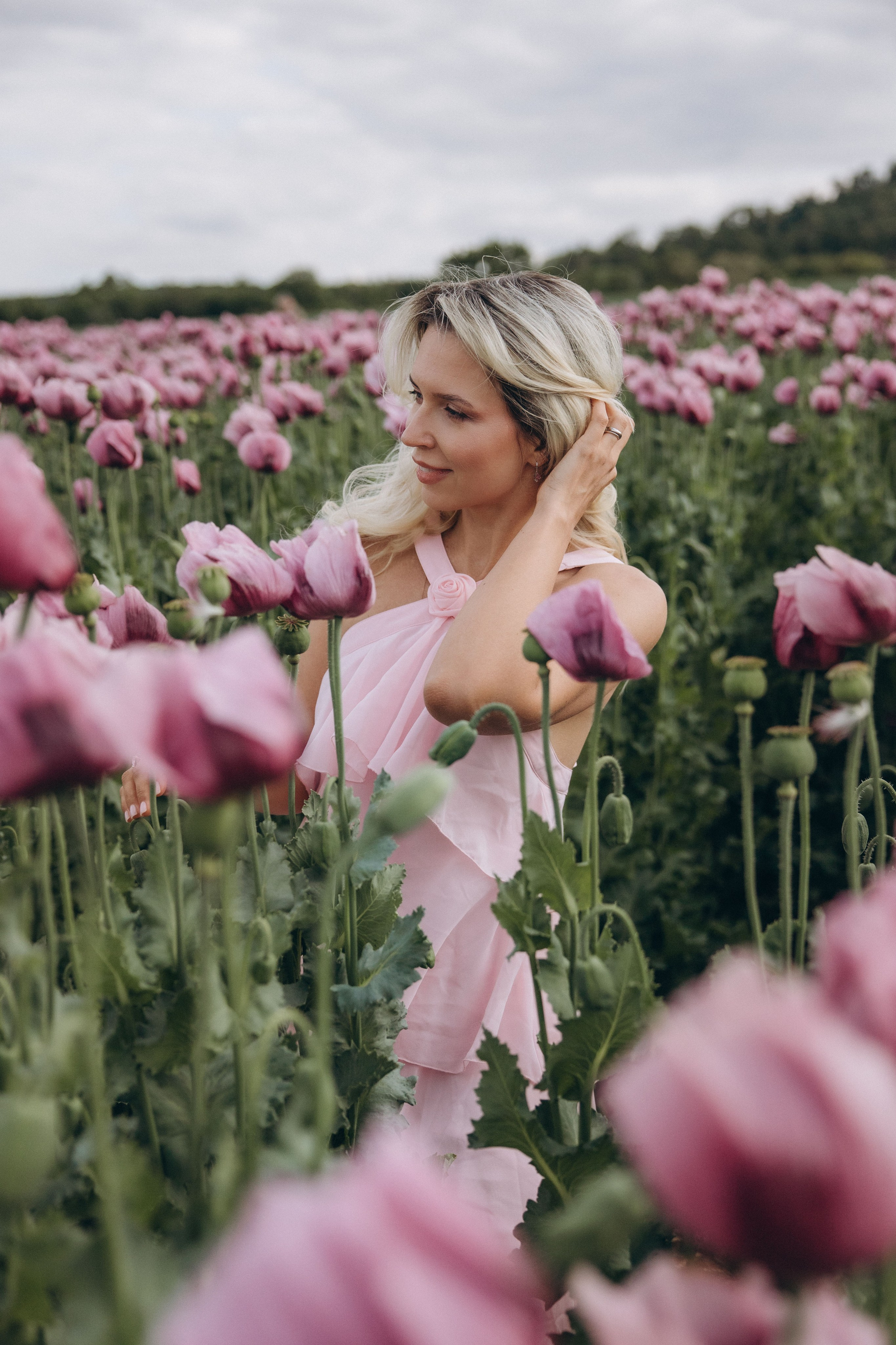 Pink Poppies. Kristina Podolyakova - Fotografin in Ludwigsburg