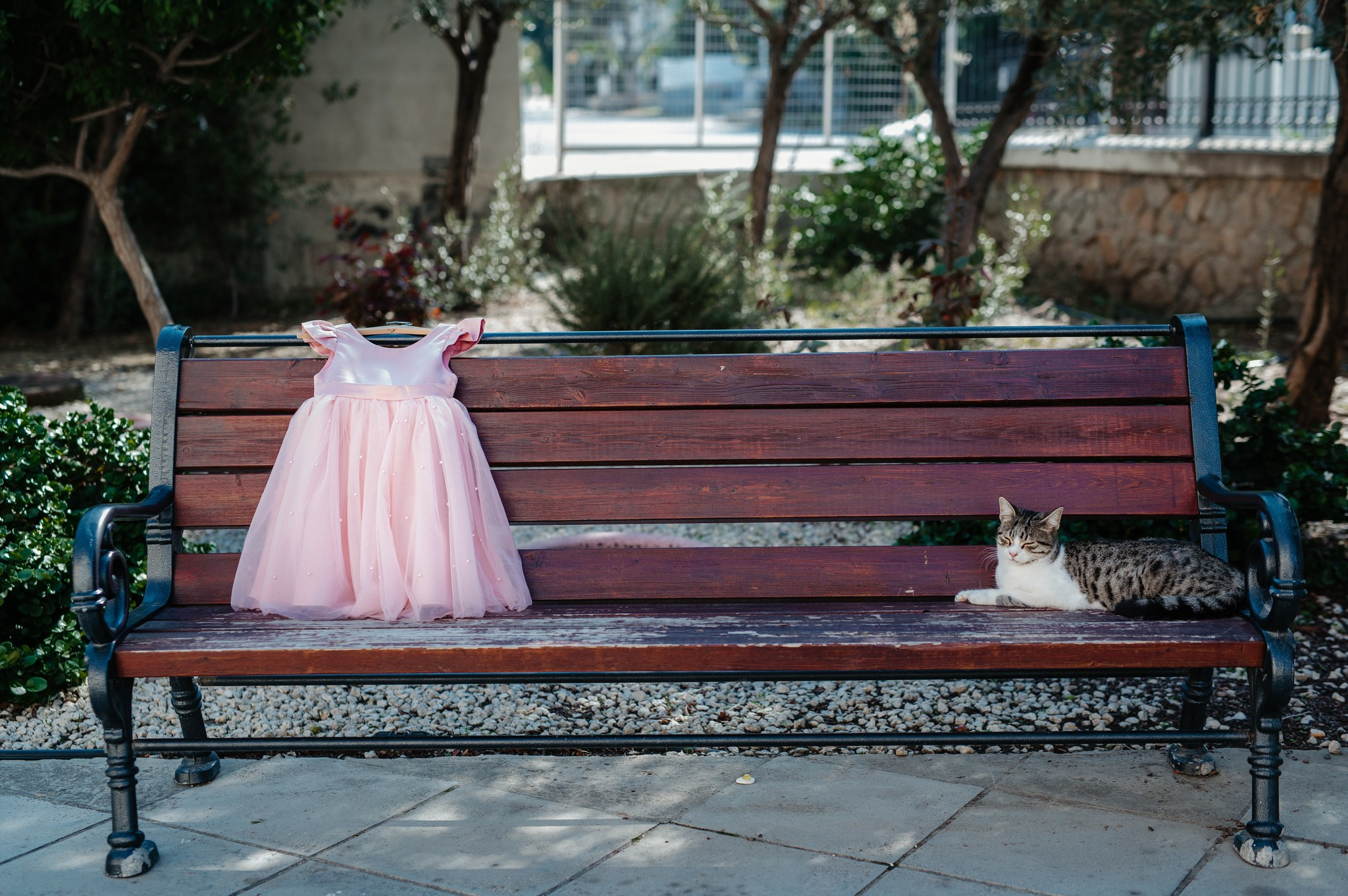 Baptism O. AdrianOltean.wfolio.pro