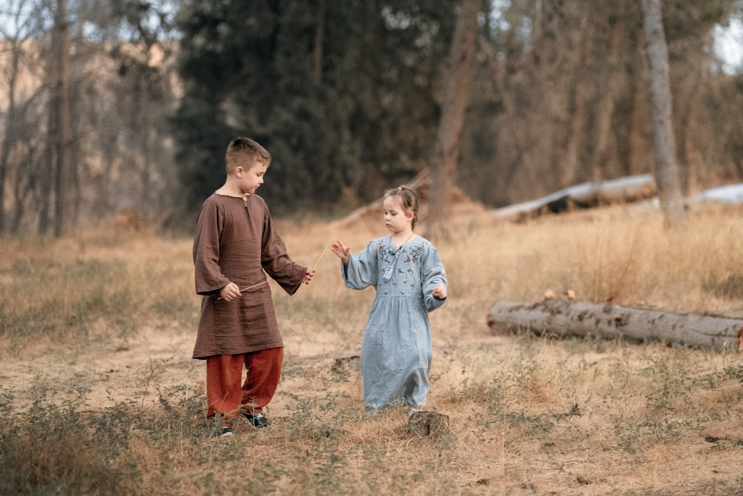 Кланы Скандинавии — клуб реконструкции «Нортман». КРиС «Нортман»