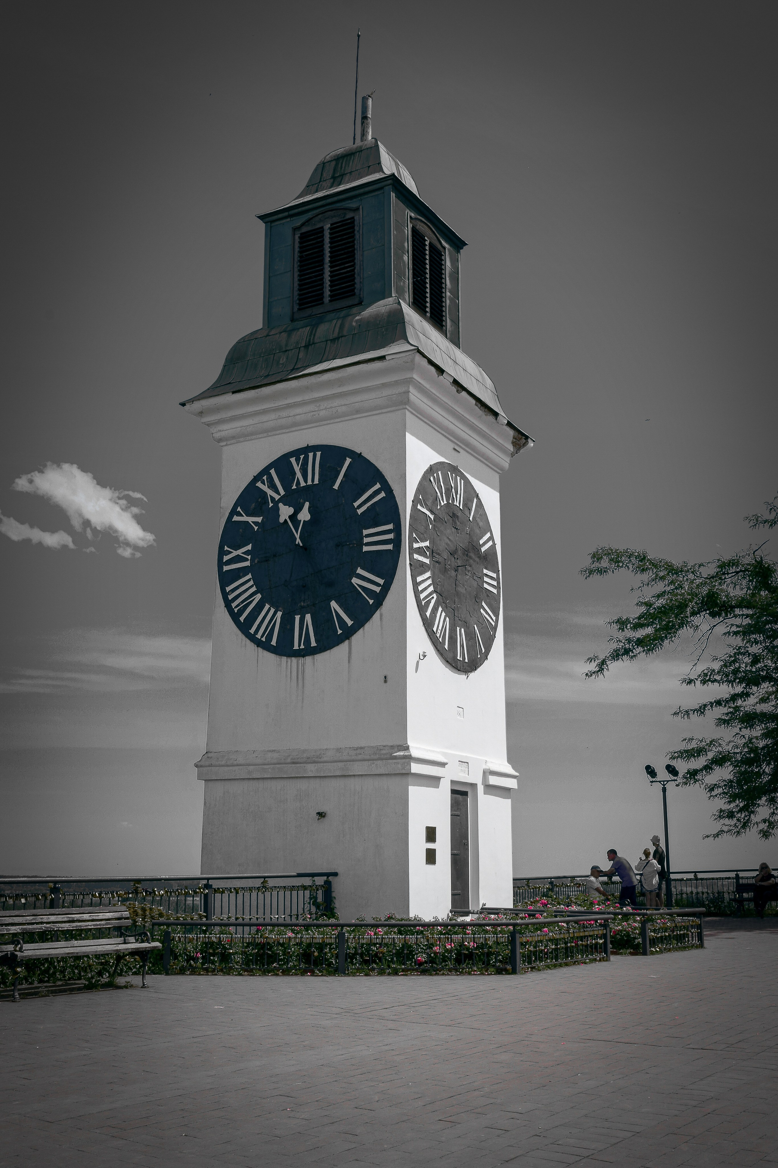 Петроварадин - галерија на продају. Викторија Федосеенко, фотограф у Србији