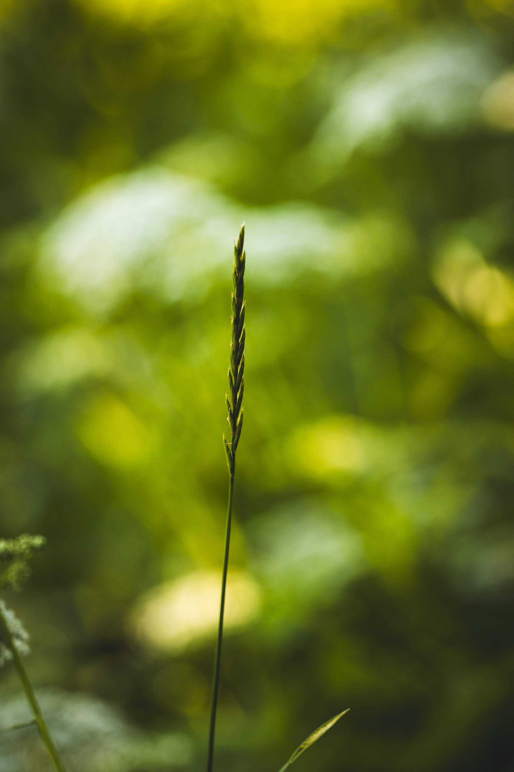 Jalgrattasõit ümbruskonnas. Nebula 25 — Fotod teie hingele