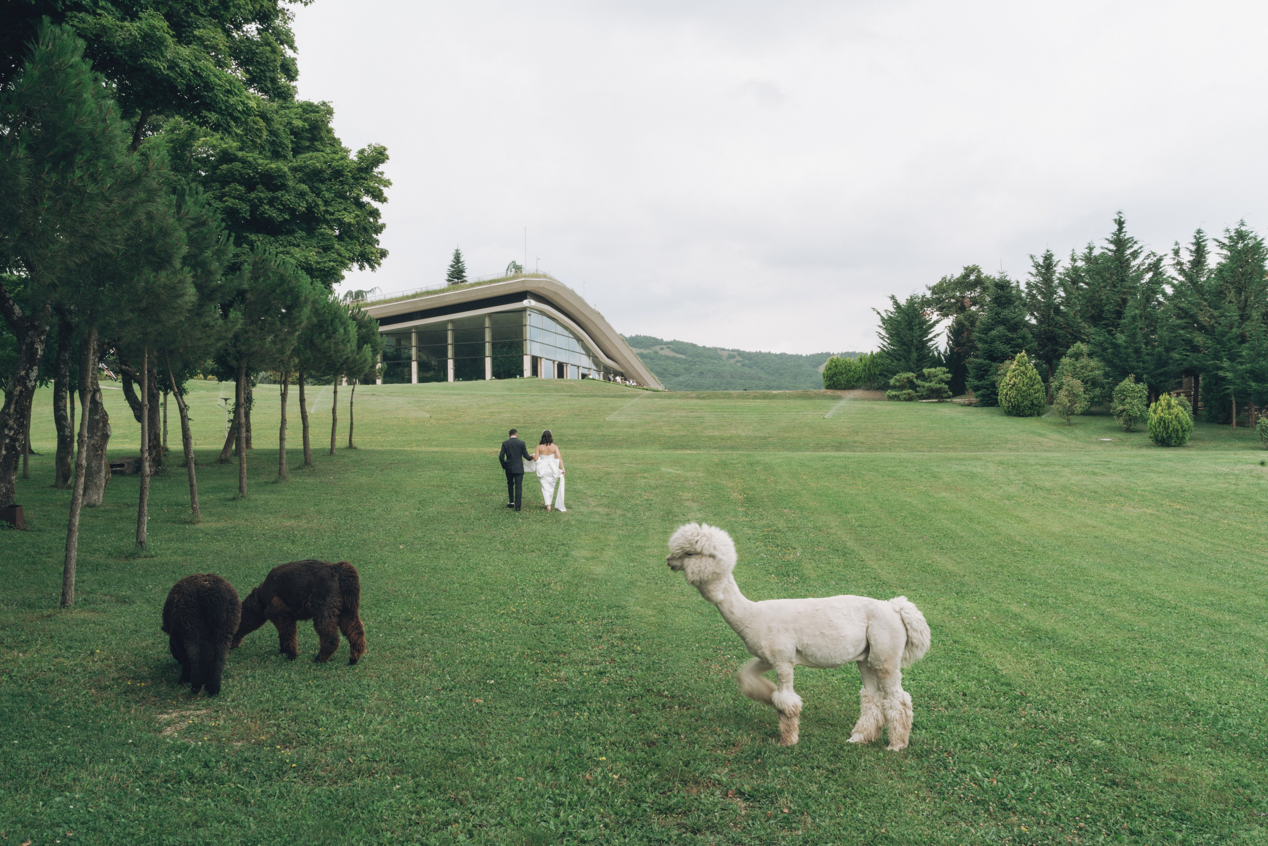 Wedding Bioli. Create your own history with Pierre Studio