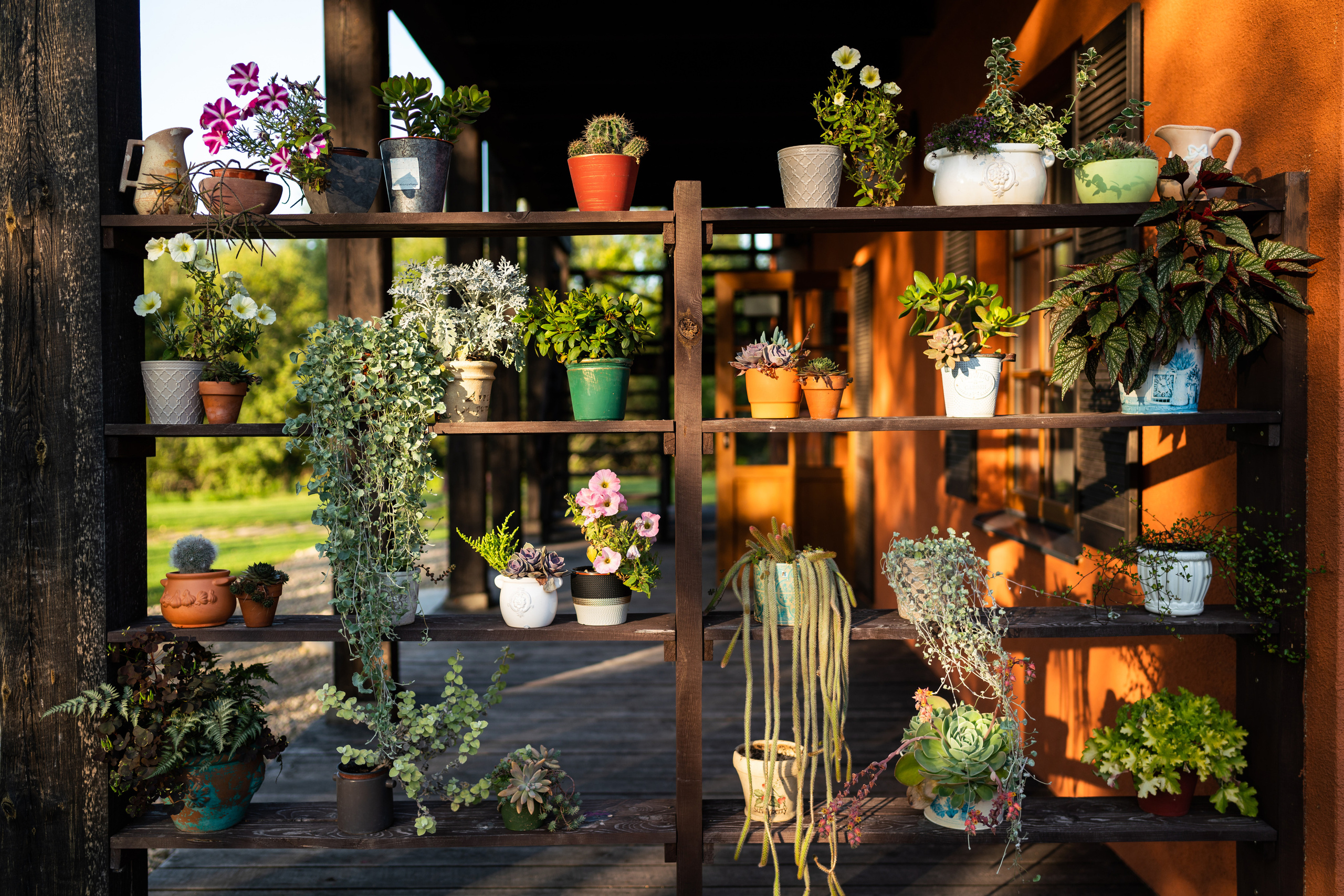 Kāzas viesu namā «Debesu bļoda». ROLFS VENDIŅŠ - KĀZU FOTOGRĀFS | Rīgā un visā Latvijā