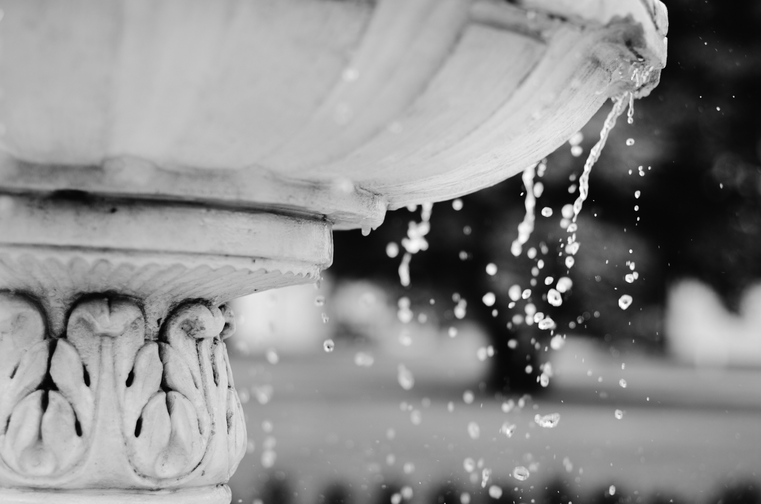 Kāzas Mālpils muižā. ROLFS VENDIŅŠ - KĀZU FOTOGRĀFS | Rīgā un visā Latvijā