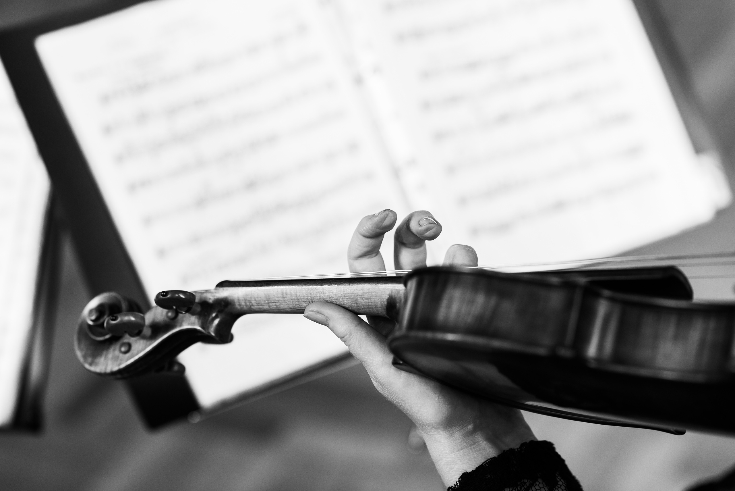 Kāzas Mežotnes pilī. ROLFS VENDIŅŠ - KĀZU FOTOGRĀFS | Rīgā un visā Latvijā